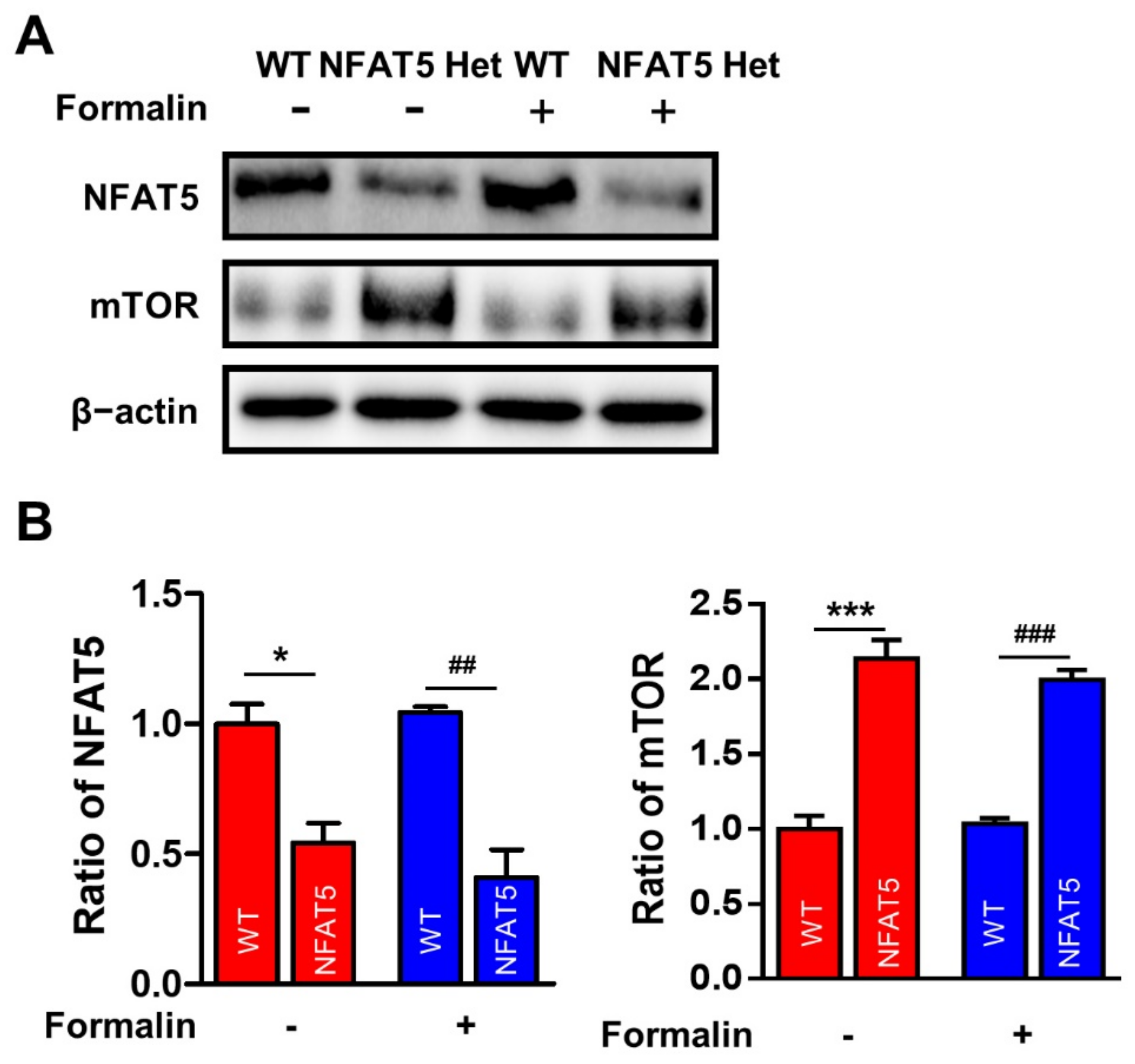 Ijms 22 02587 g006 Ijms 22 02587 g006