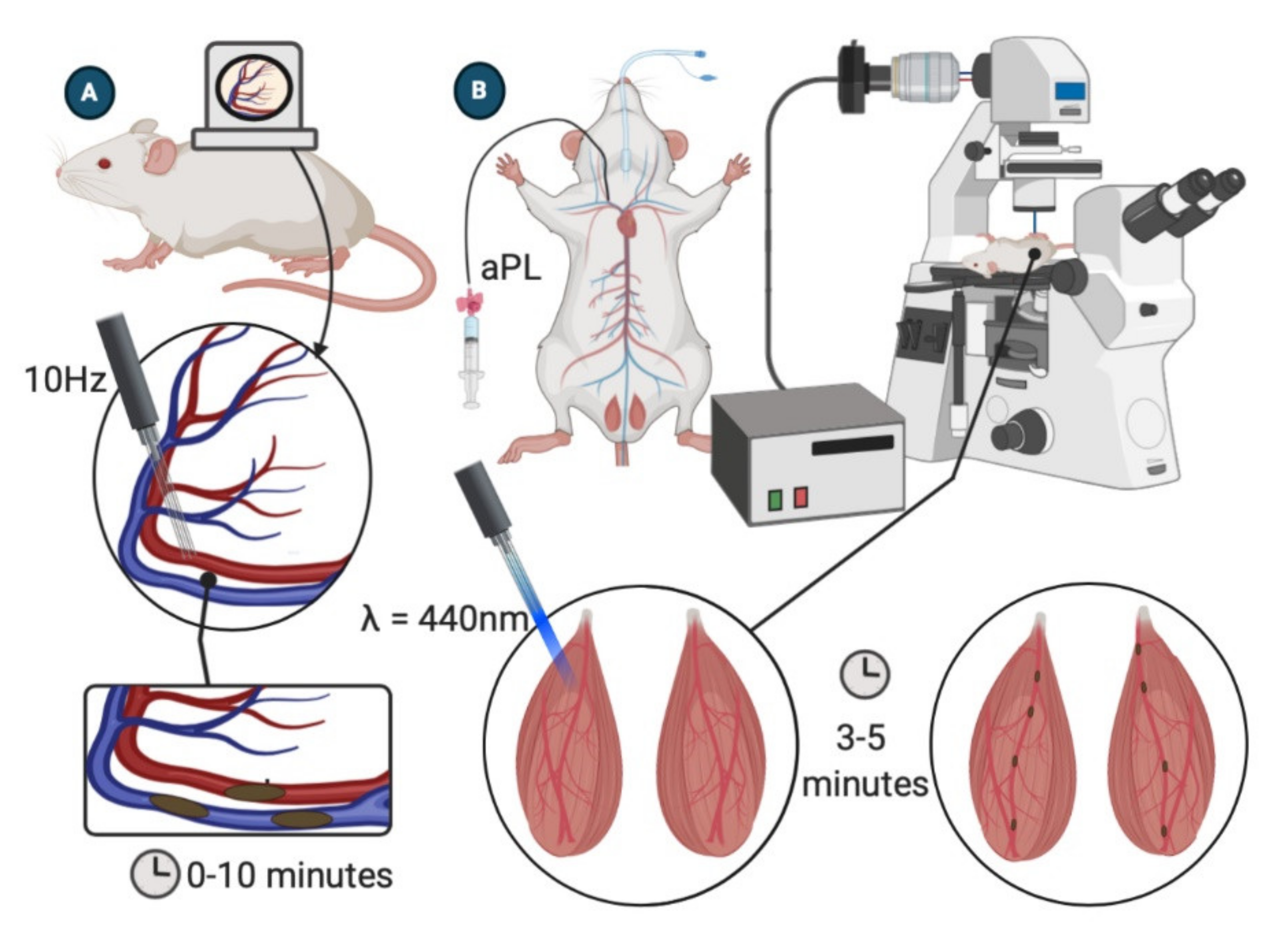 Ijms 22 02588 g003 Ijms 22 02588 g003