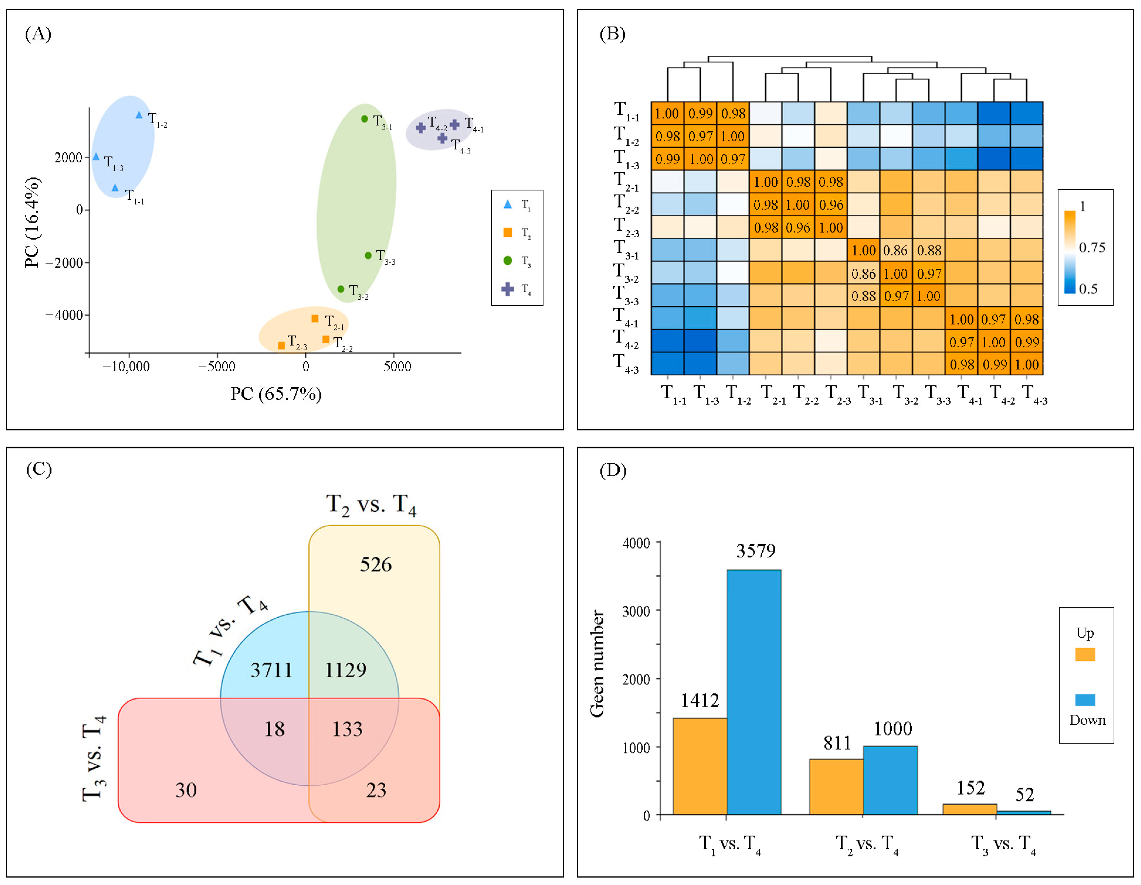 IJMS | Free Full-Text | Metabolome and Transcriptome Analyses Reveal the  Regulatory Mechanisms of Photosynthesis in Developing Ginkgo biloba Leaves  | HTML