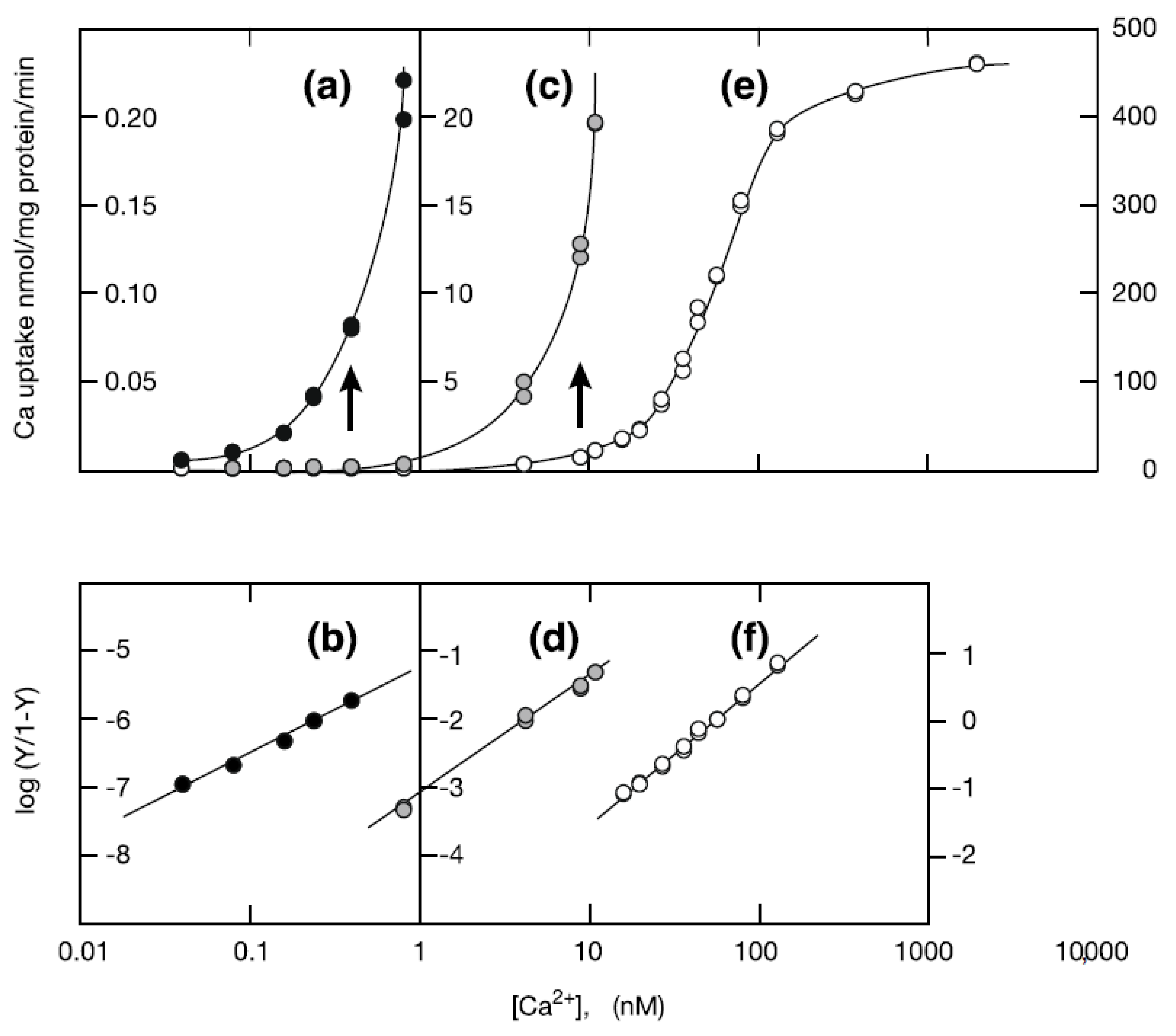 Ijms 22 02624 g001 Ijms 22 02624 g001