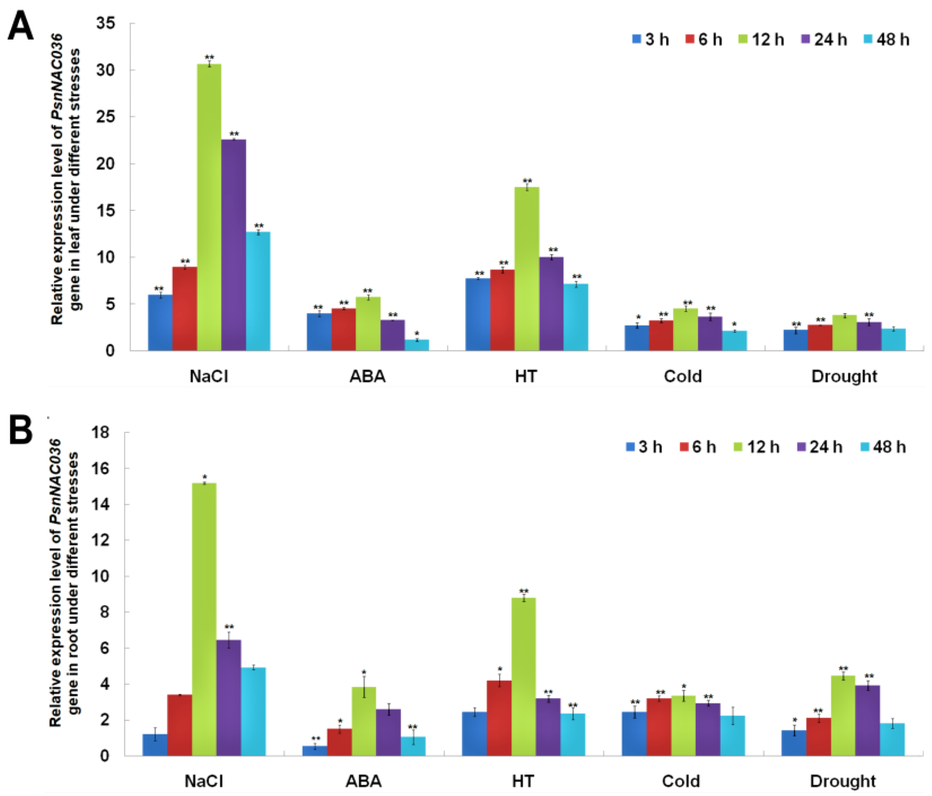 Ijms 22 02656 g002 Ijms 22 02656 g002