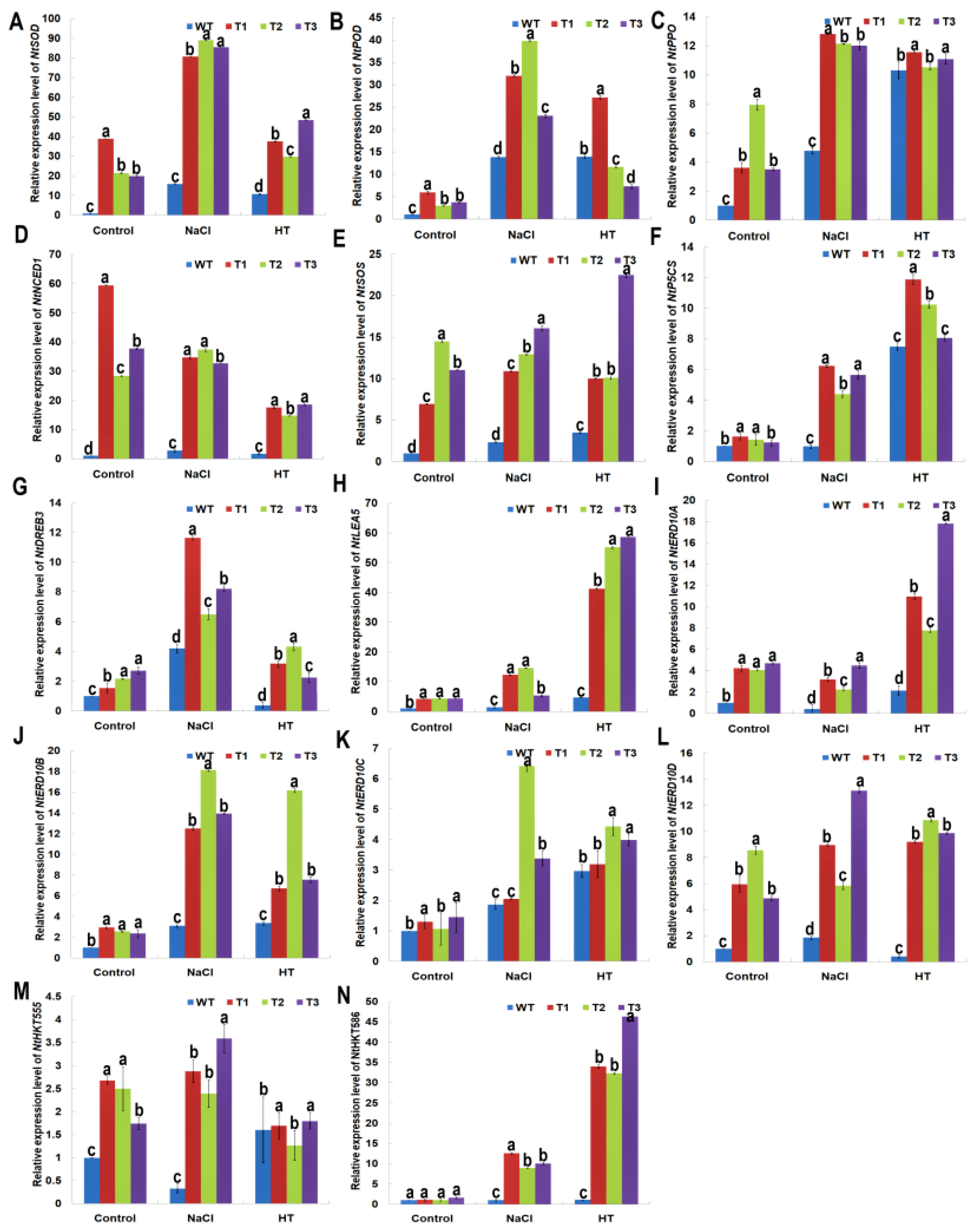 Ijms 22 02656 g007 Ijms 22 02656 g007
