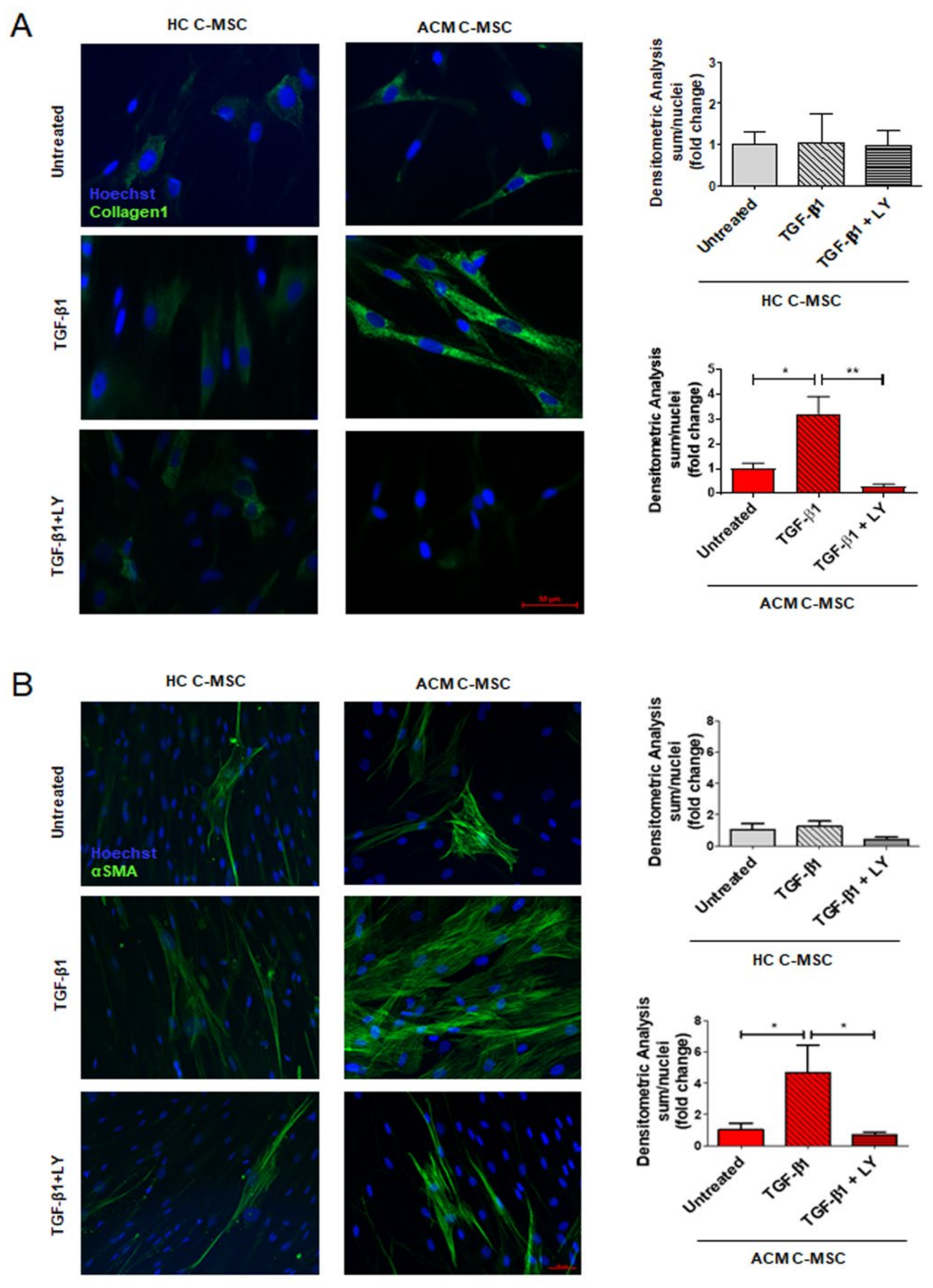 Ijms 22 02673 g005 Ijms 22 02673 g005