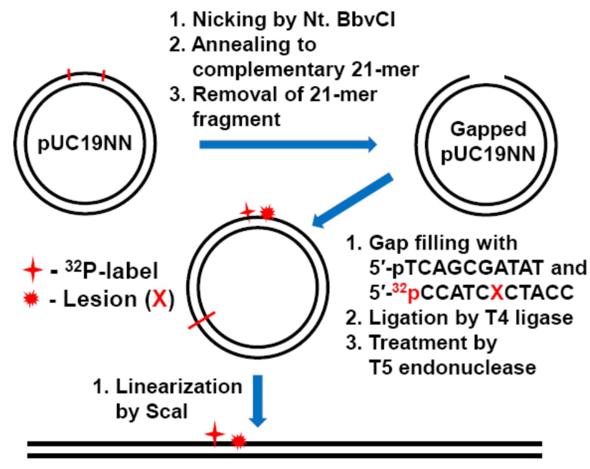 Ijms 22 02698 g002 Ijms 22 02698 g002