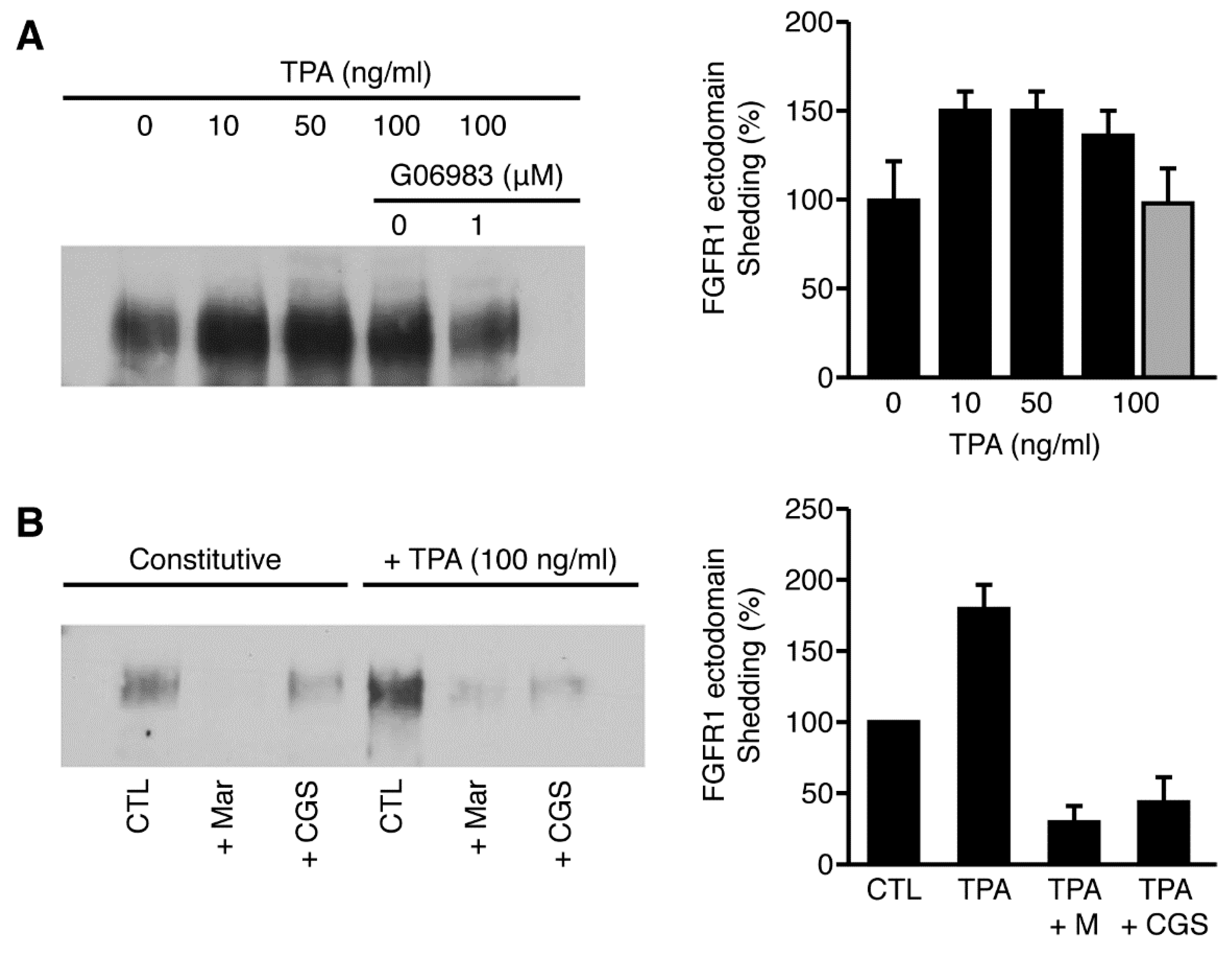 IJMS | Free Full-Text | Constitutive and Regulated Shedding of