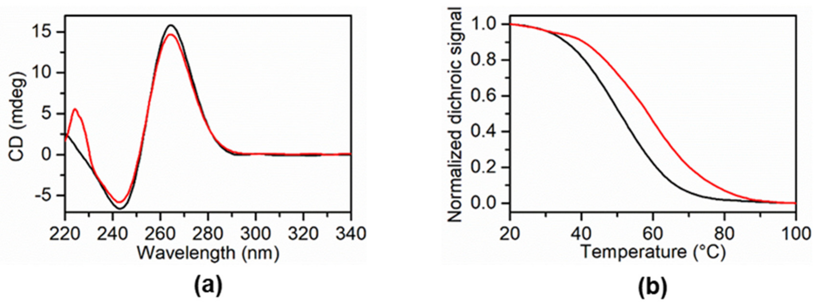 Ijms 22 02742 g006 Ijms 22 02742 g006