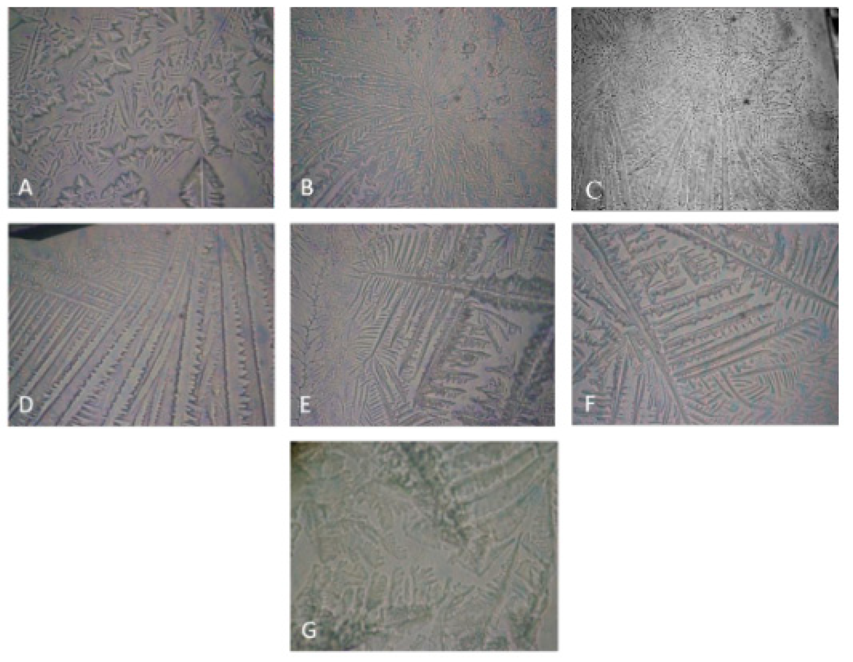 Ijms 22 02747 g001 Ijms 22 02747 g001