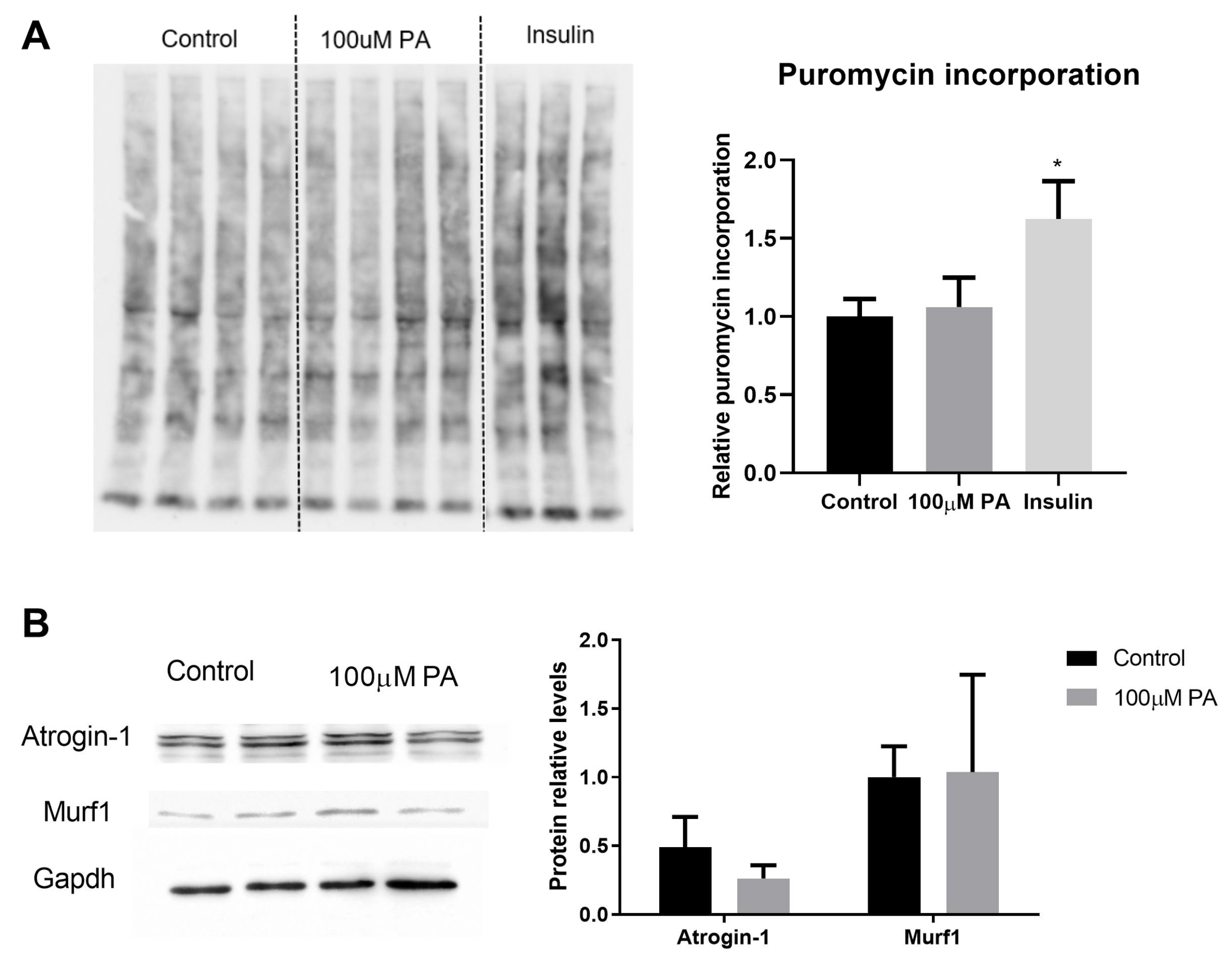 Ijms 22 02748 g003 Ijms 22 02748 g003