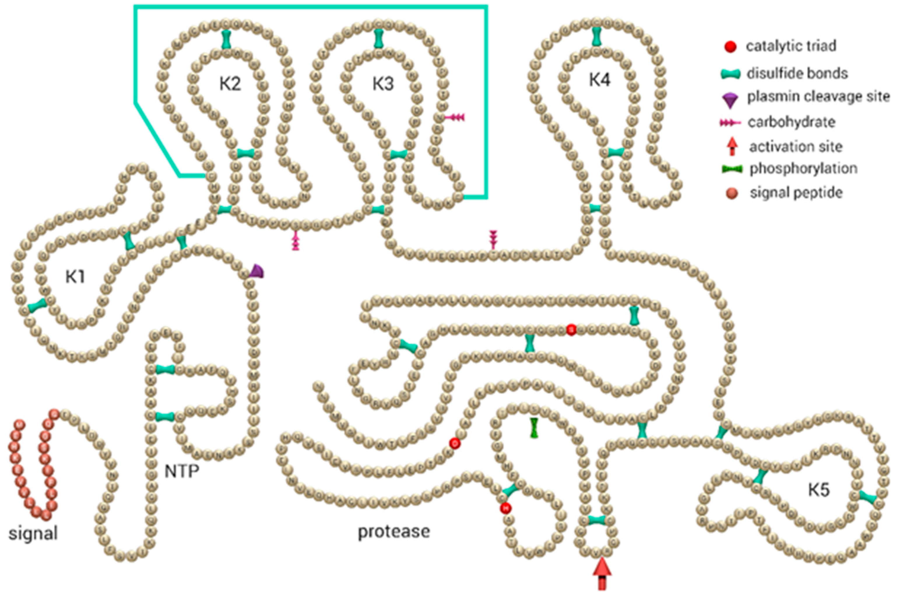 Ijms 22 02758 g001 Ijms 22 02758 g001