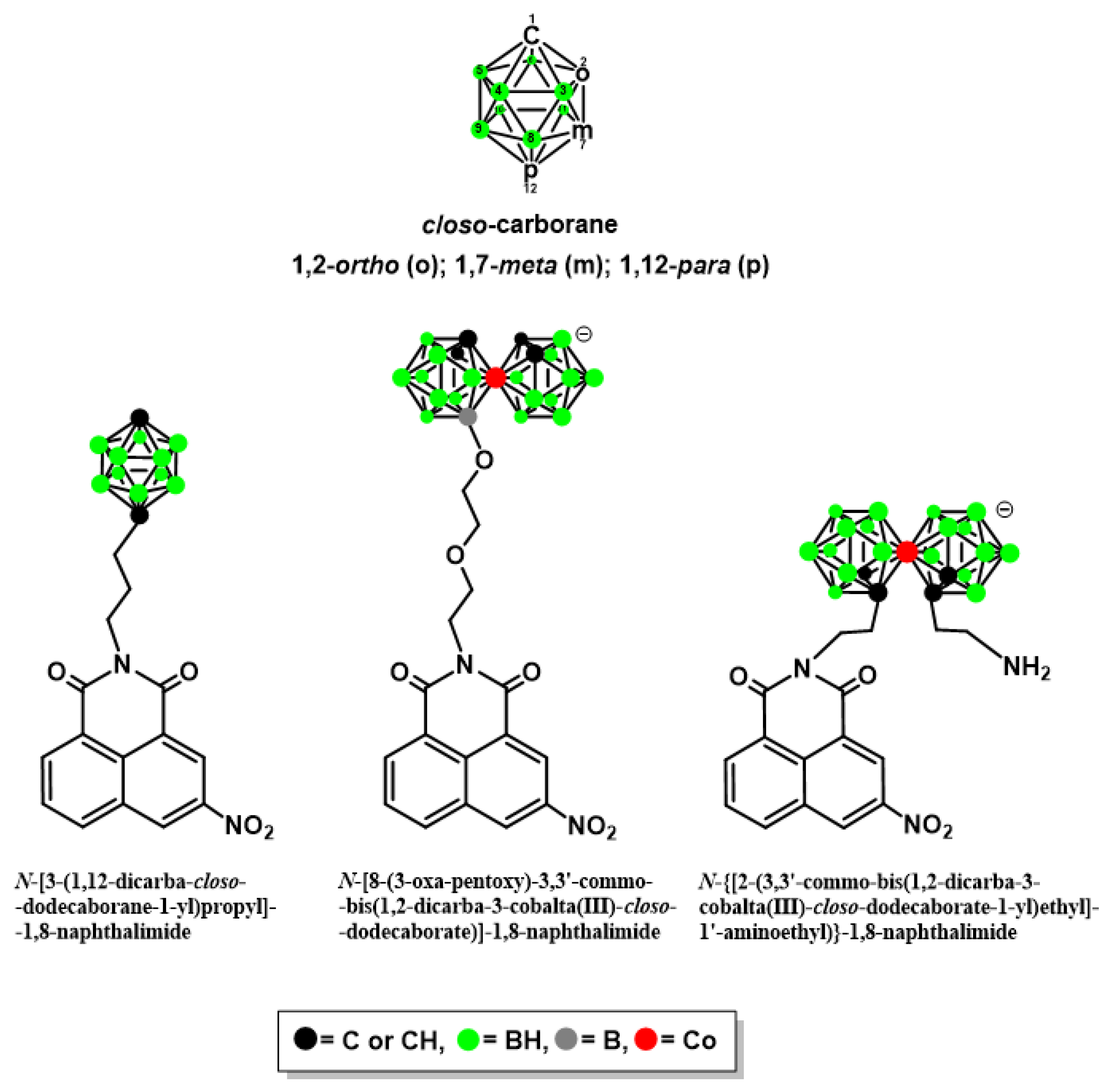 Ijms Free Full Text Design Synthesis And Evaluation Of Novel 3 Carboranyl 1 8 Naphthalimide Derivatives As Potential Anticancer Agents Html