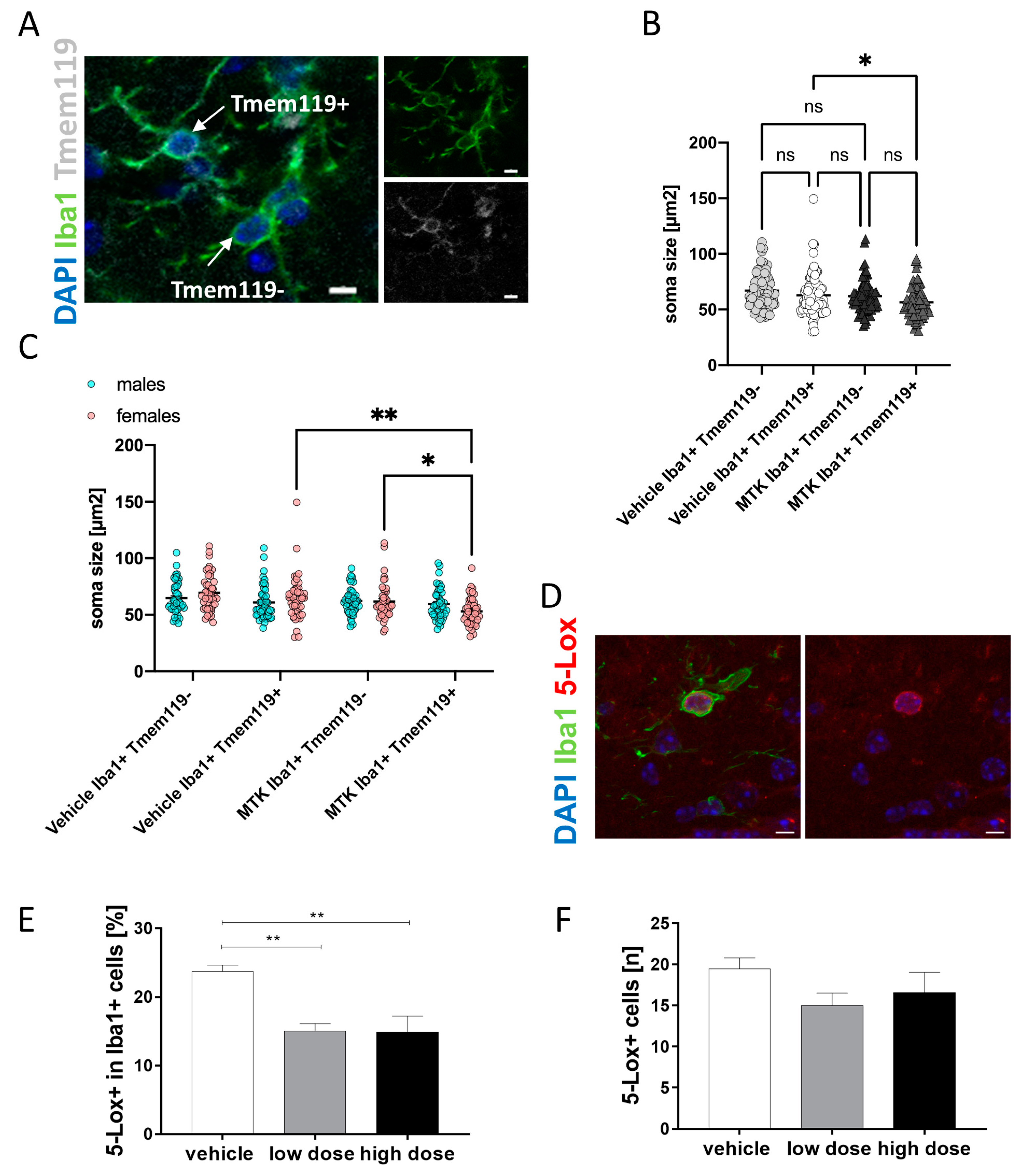 IJMS Free Full Text The Leukotriene Receptor Antagonist