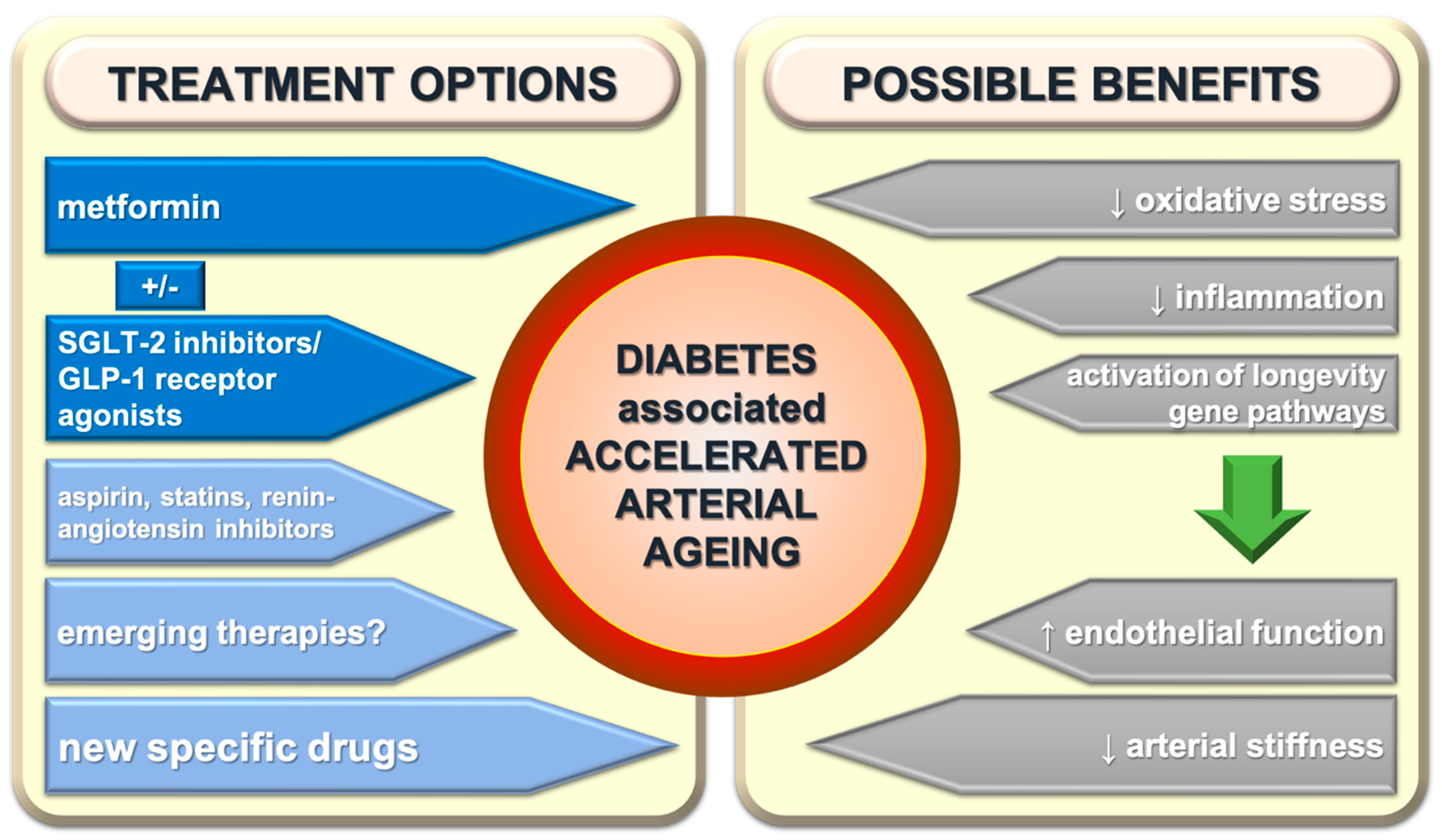 Treating Arterial Ageing in Patients with Diabetes From ...