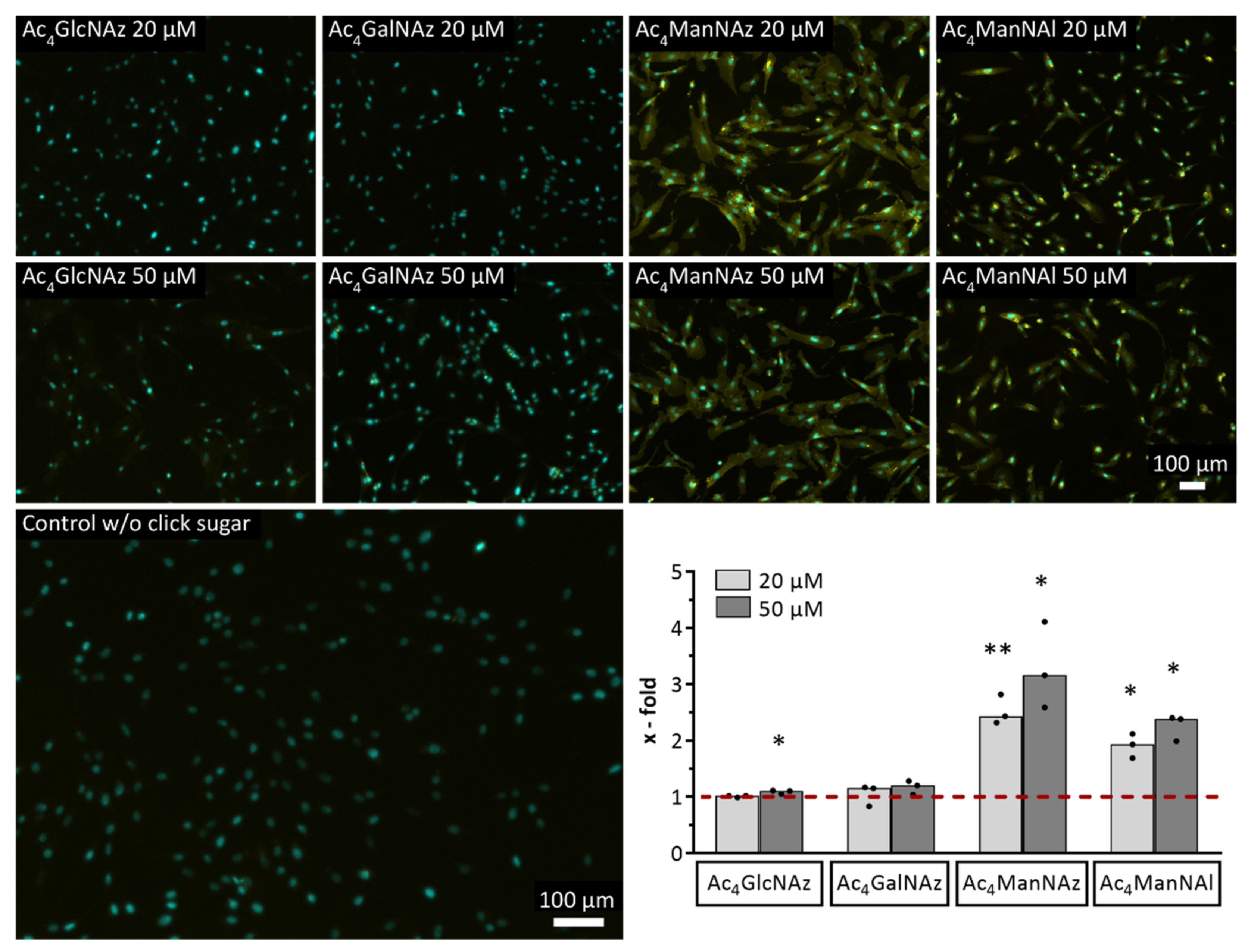 Ijms 22 02820 g002 Ijms 22 02820 g002