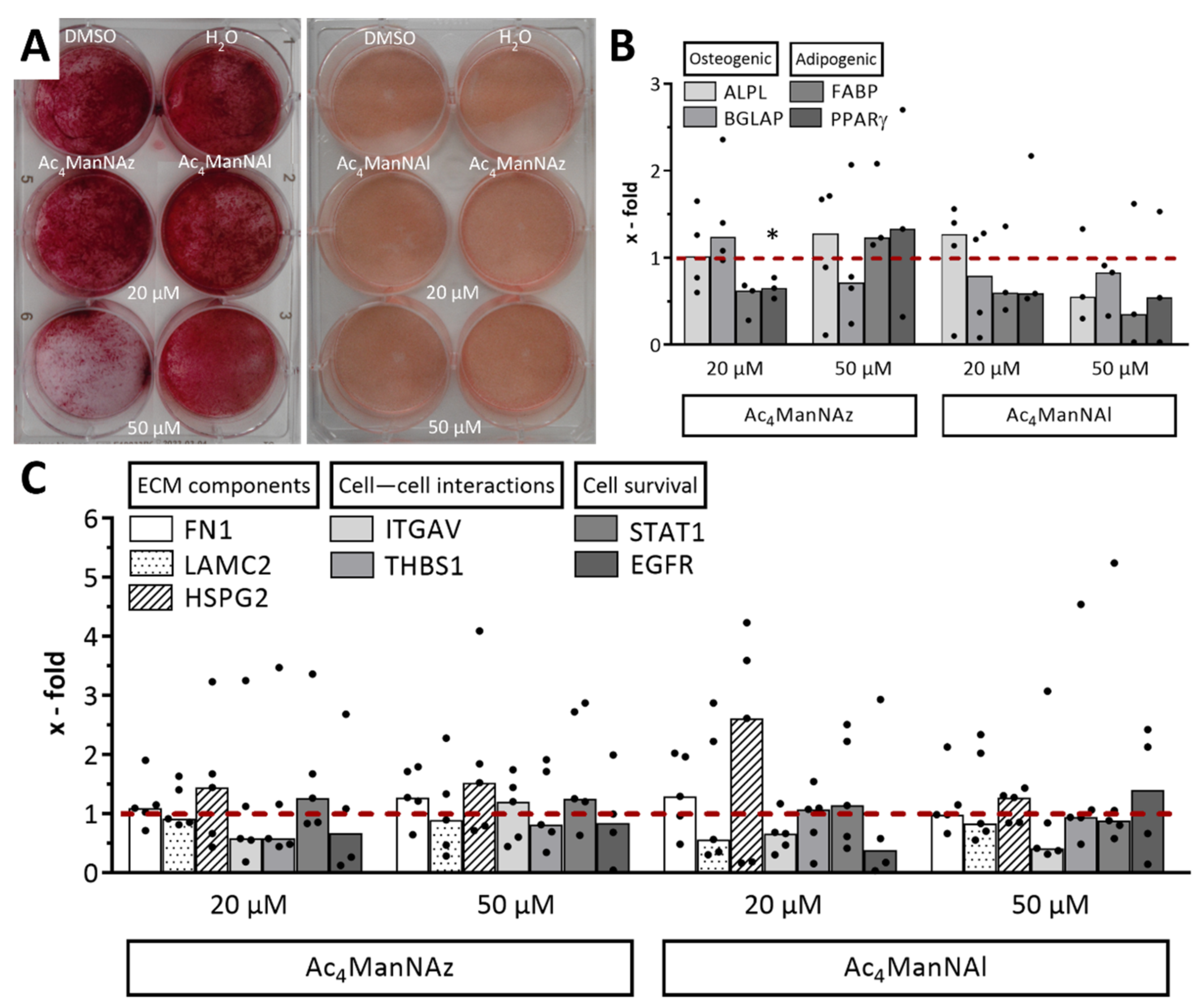 Ijms 22 02820 g004 Ijms 22 02820 g004