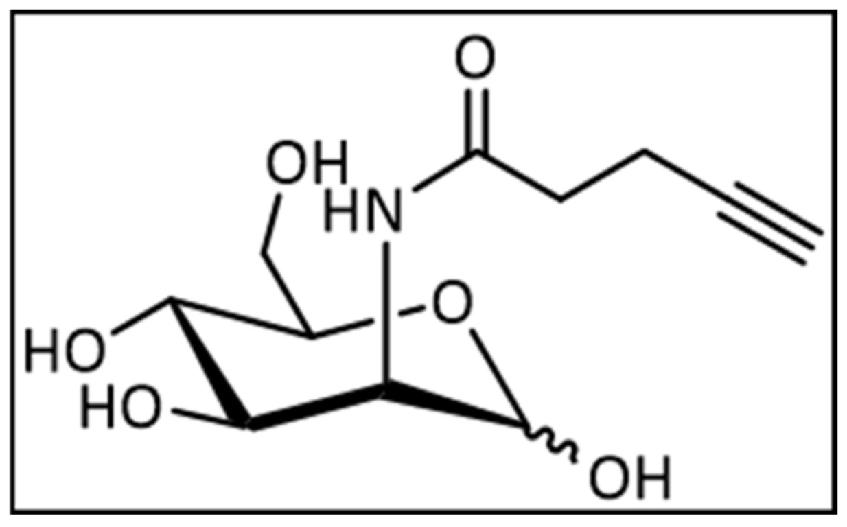 Ijms 22 02820 g005 Ijms 22 02820 g005