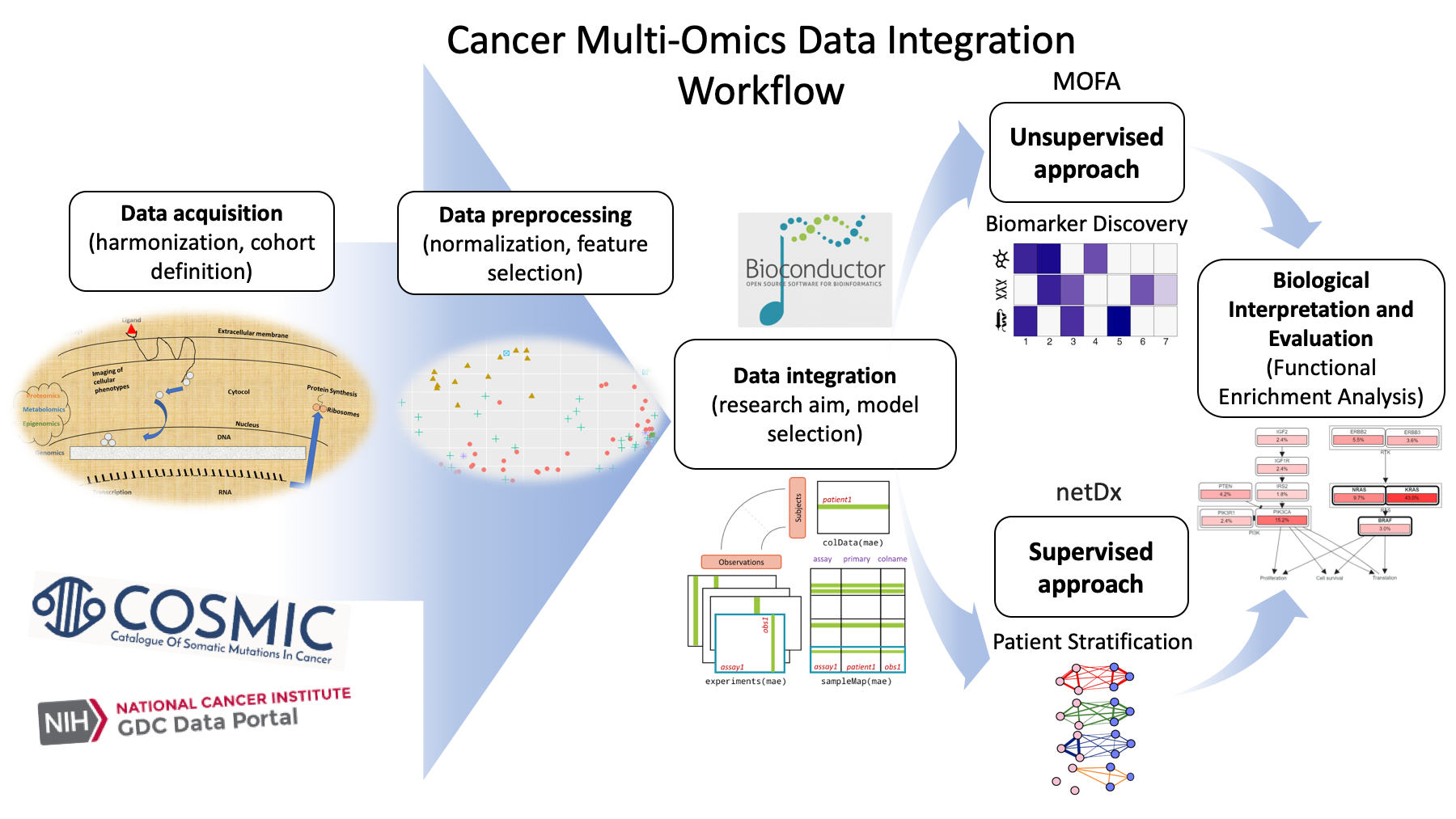 Ijms Free Full Text A Detailed Catalogue Of Multi Omics Methodologies For Identification Of