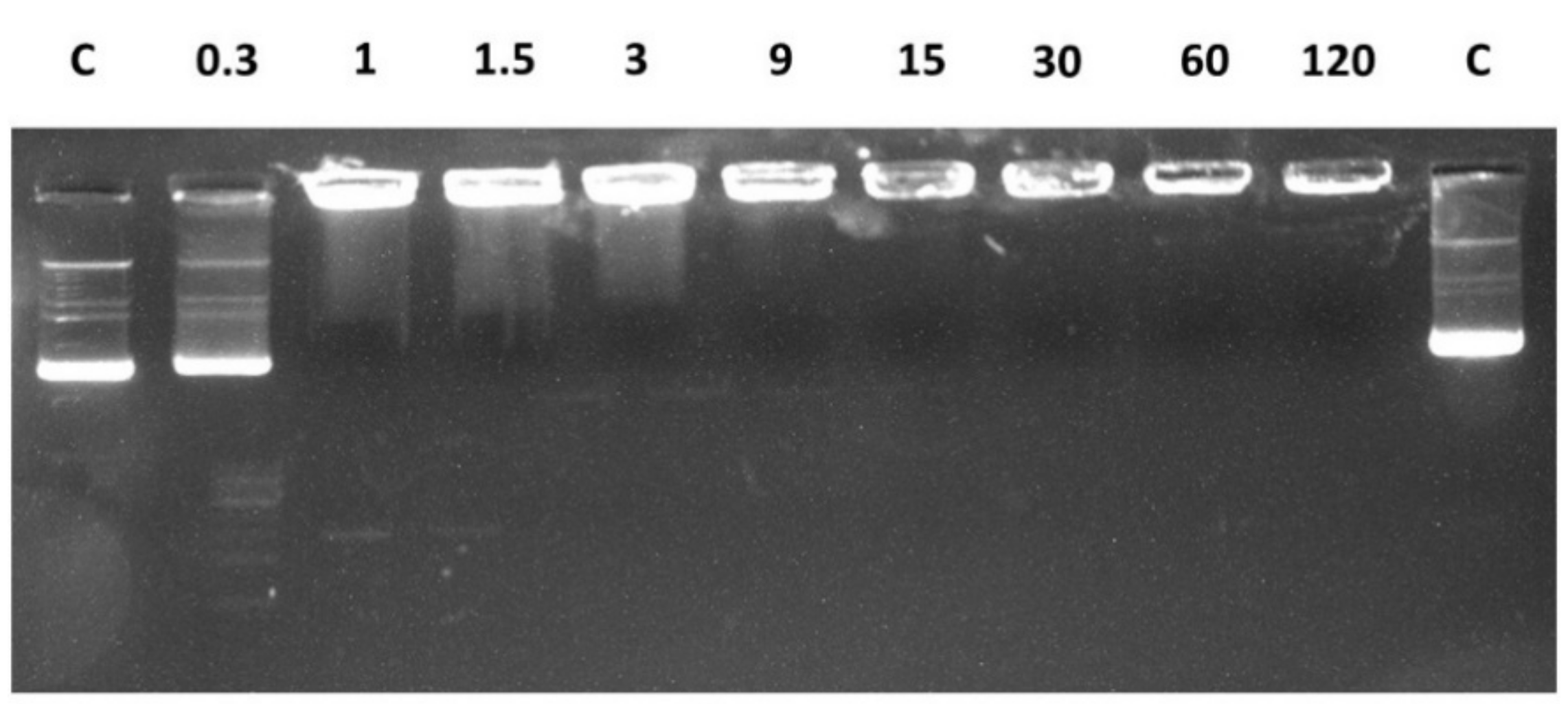 Ijms 22 02857 g008 Ijms 22 02857 g008