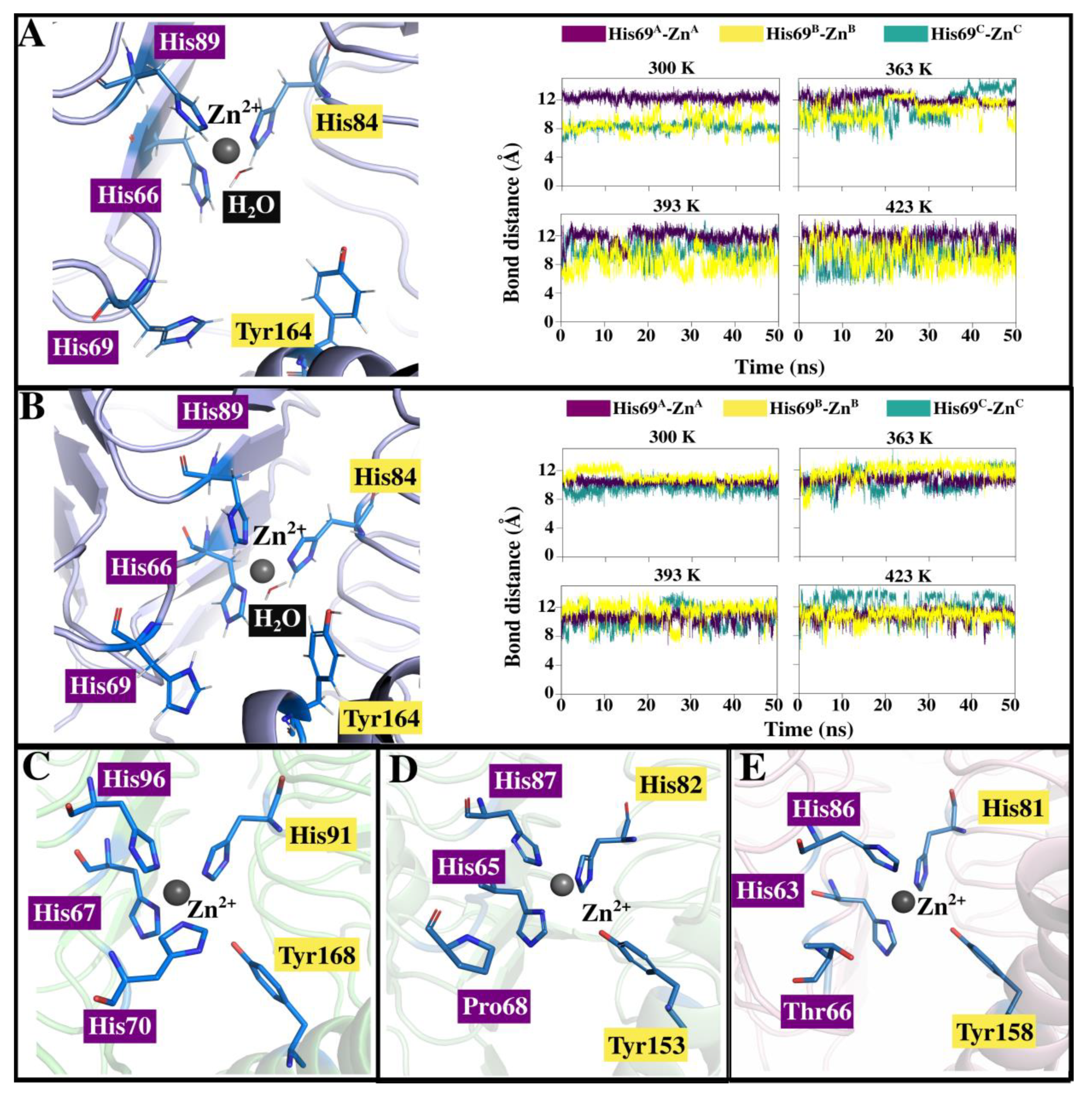 Ijms 22 02861 g005 Ijms 22 02861 g005