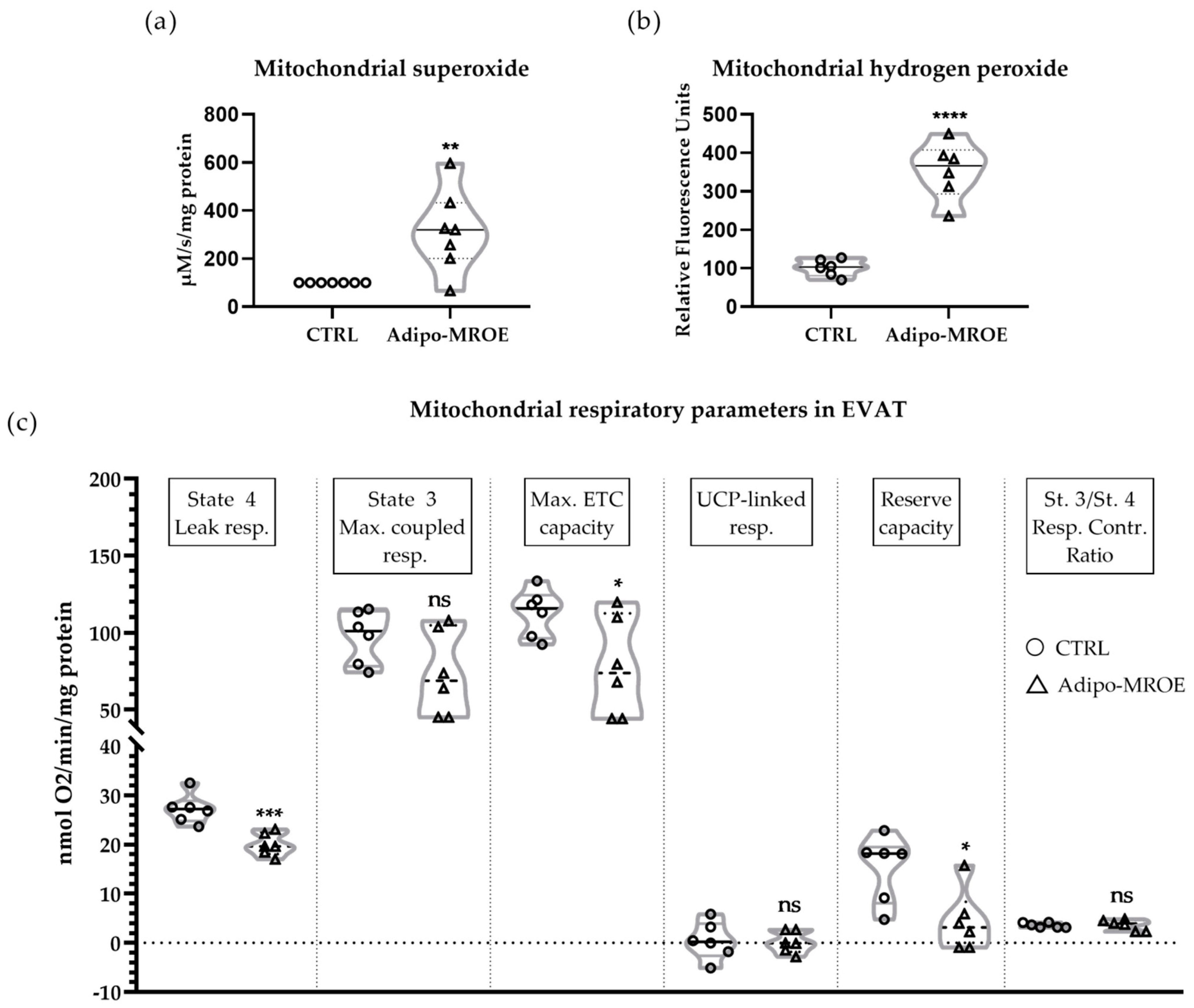Ijms 22 02881 g003 Ijms 22 02881 g003