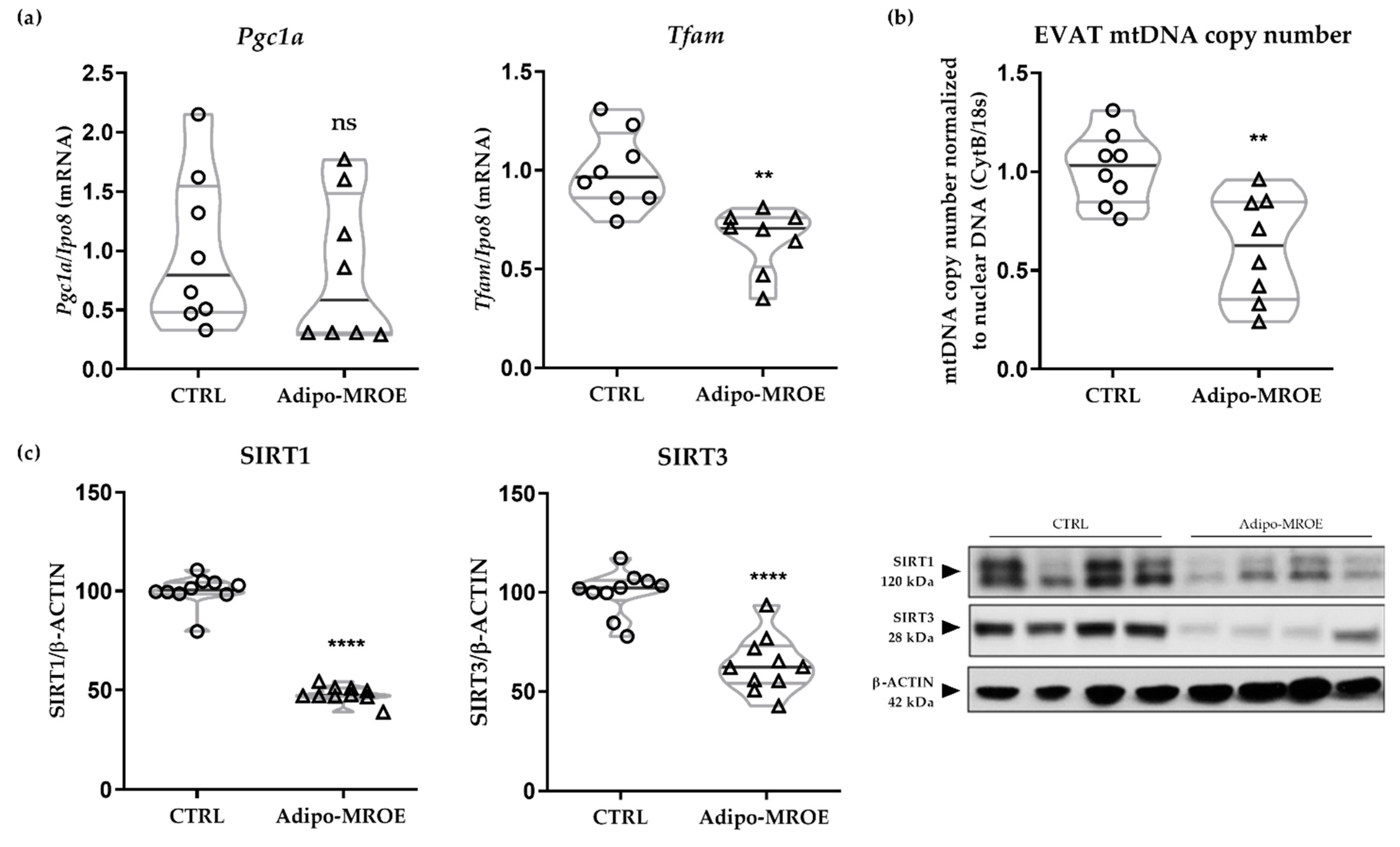 Ijms 22 02881 g004 Ijms 22 02881 g004