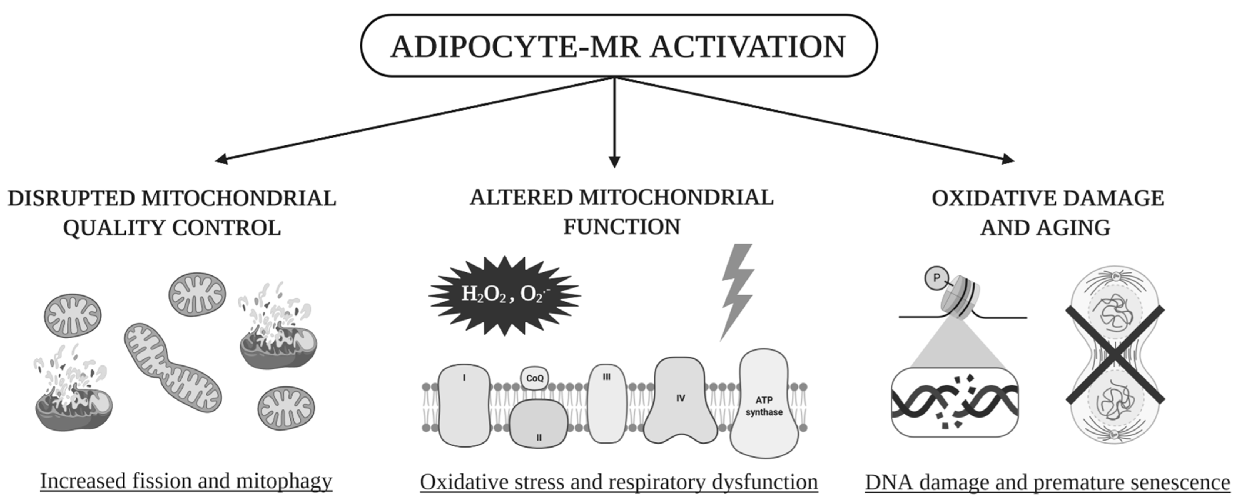 Ijms 22 02881 g007 Ijms 22 02881 g007
