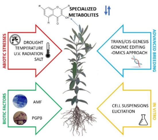 Ijms Free Full Text Strategies To Modulate Specialized Metabolism In Mediterranean Crops From Molecular Aspects To Field Html