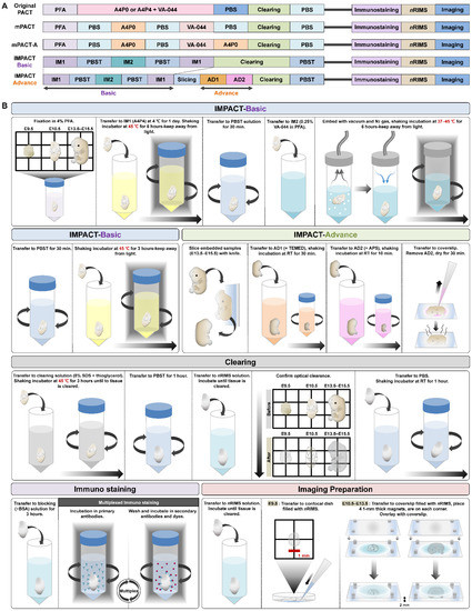 Lens cleaning tissue paper - Paul Marienfeld