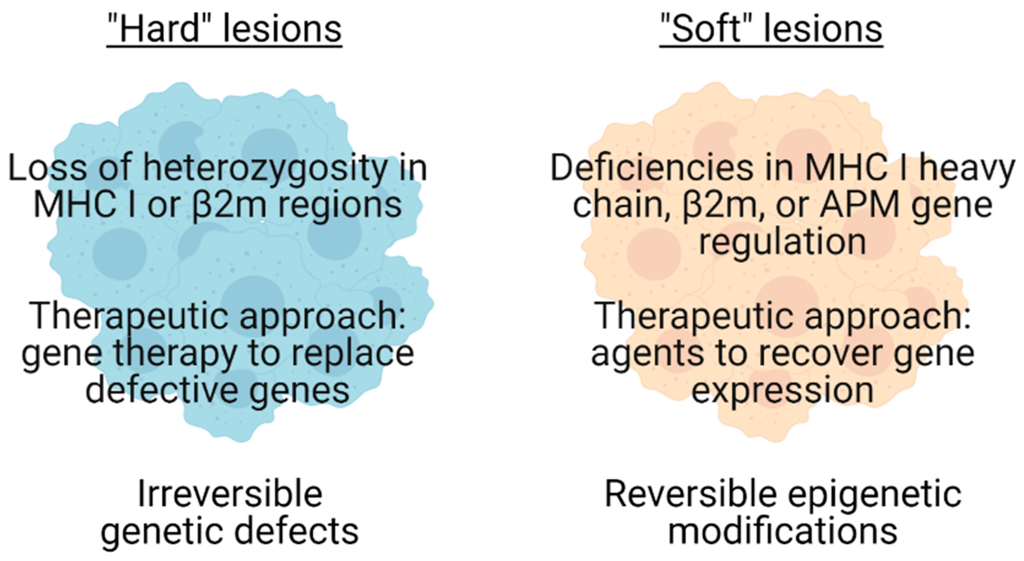 IJMS | Free Full-Text | Investigating T Cell Immunity in Cancer:  Achievements and Prospects