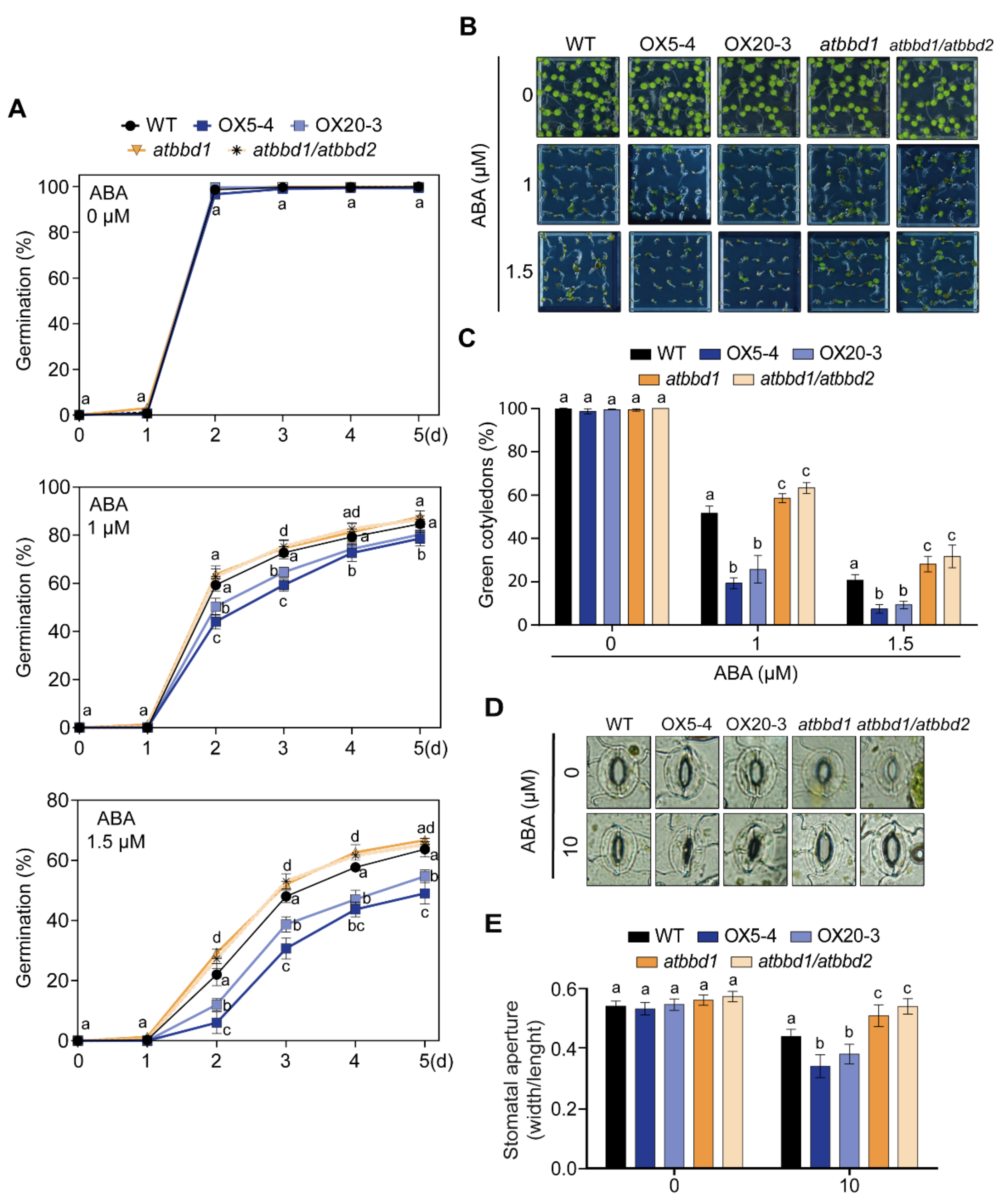 Ijms 22 02936 g005 Ijms 22 02936 g005
