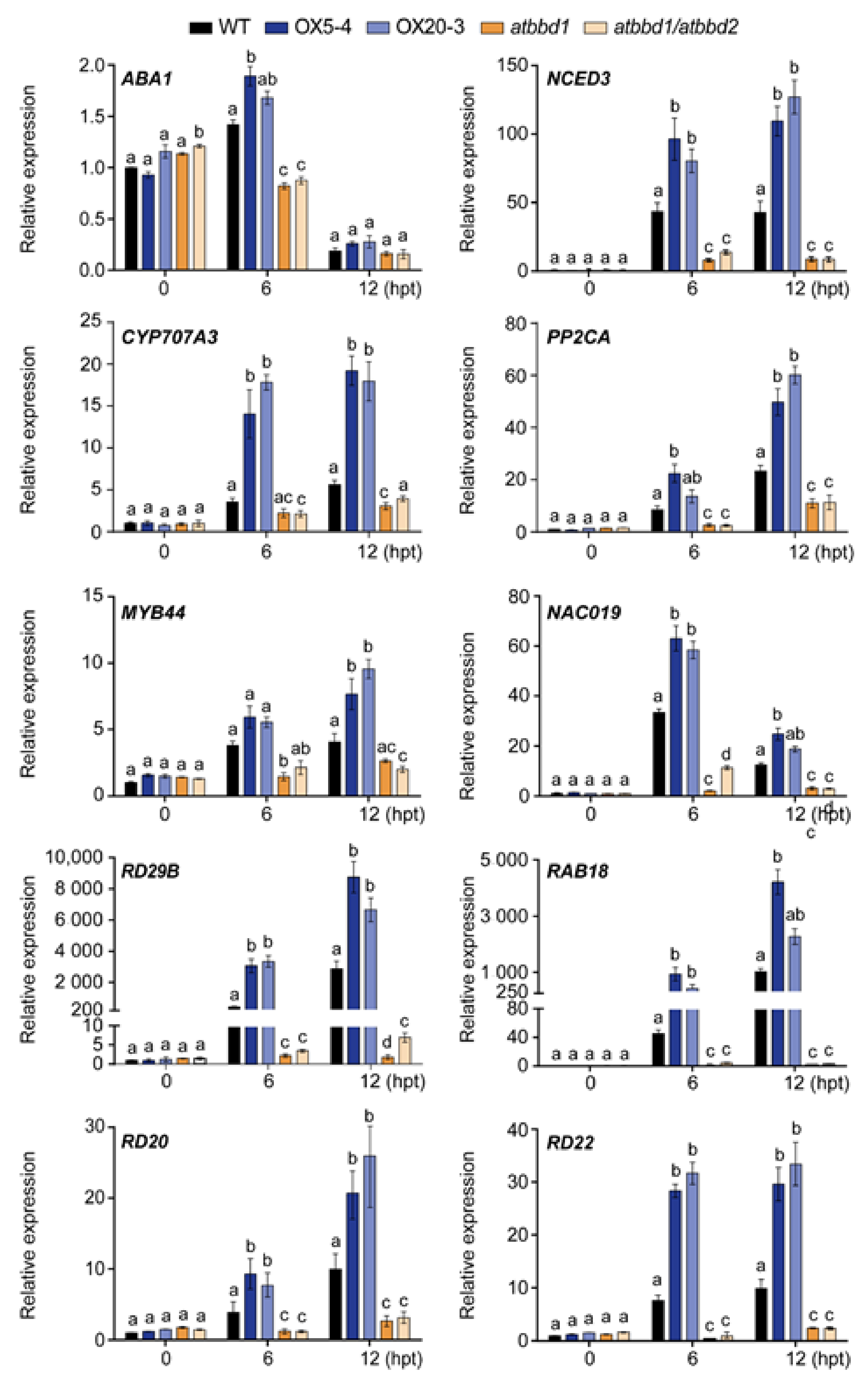 Ijms 22 02936 g007 Ijms 22 02936 g007