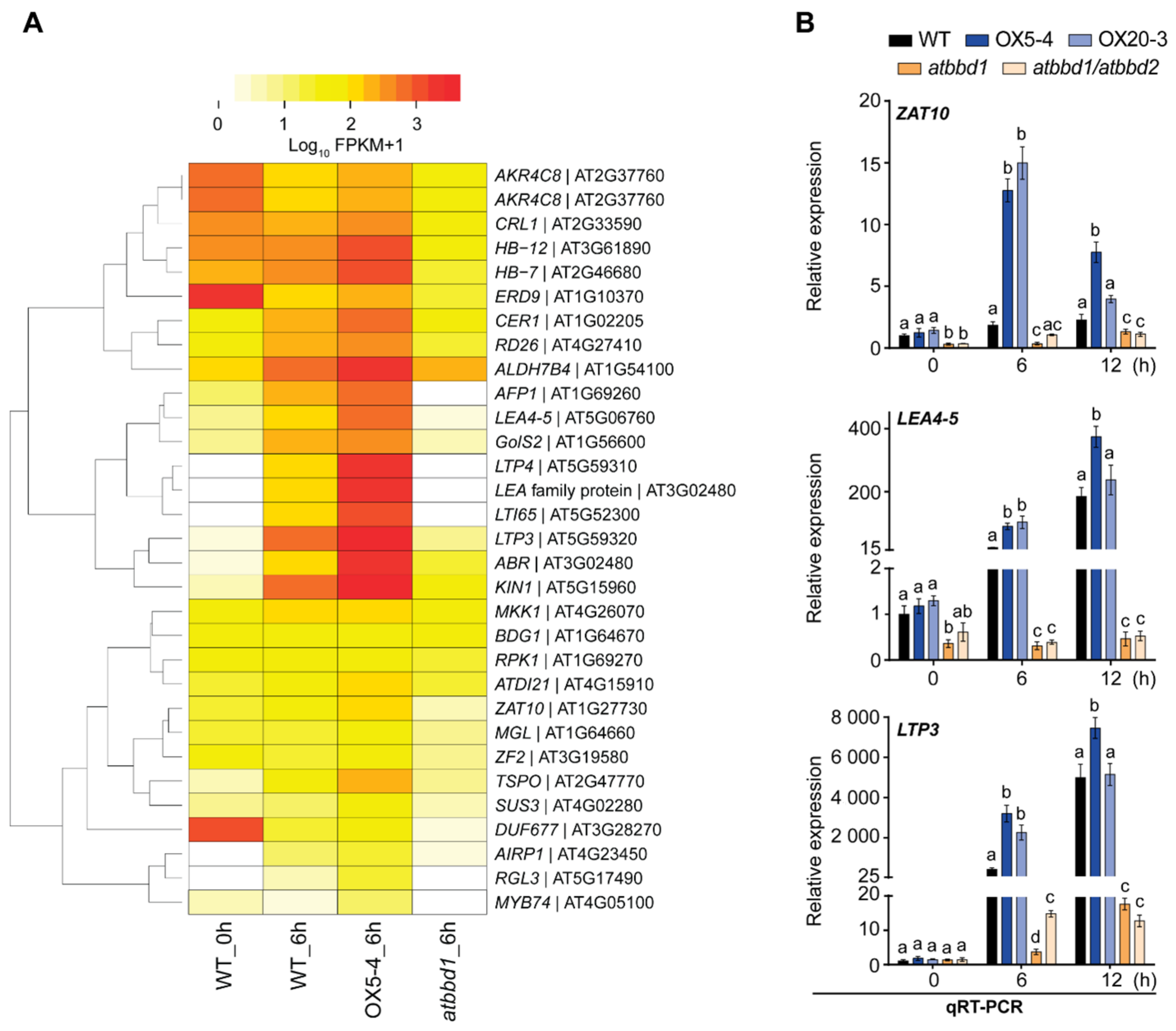 Ijms 22 02936 g008 Ijms 22 02936 g008