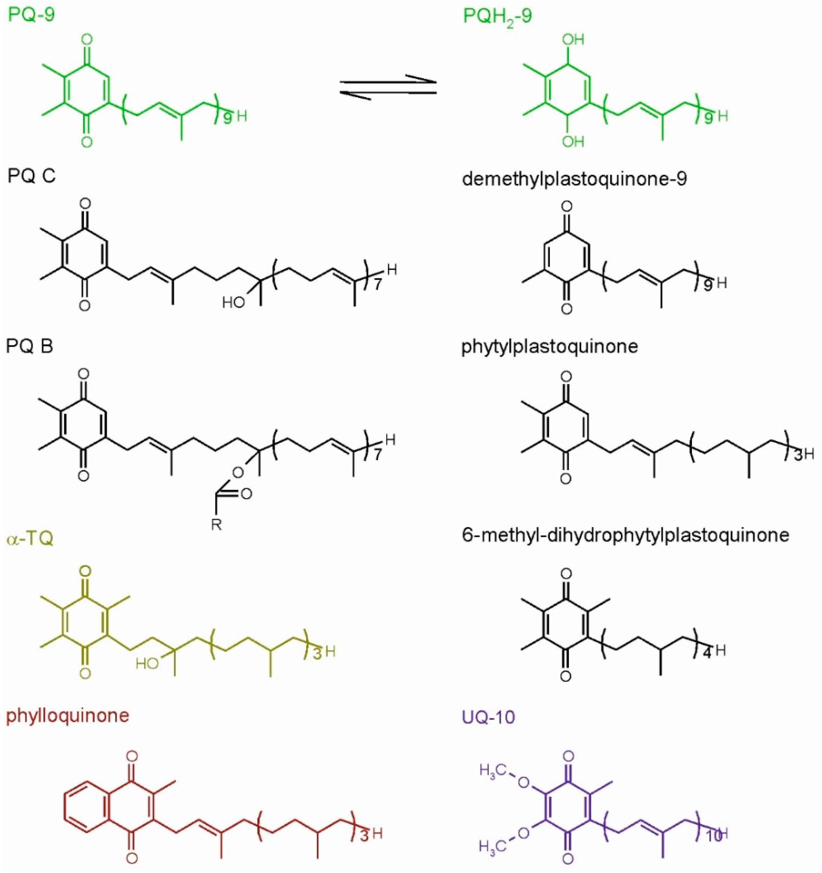 Ijms 22 02950 g003 Ijms 22 02950 g003
