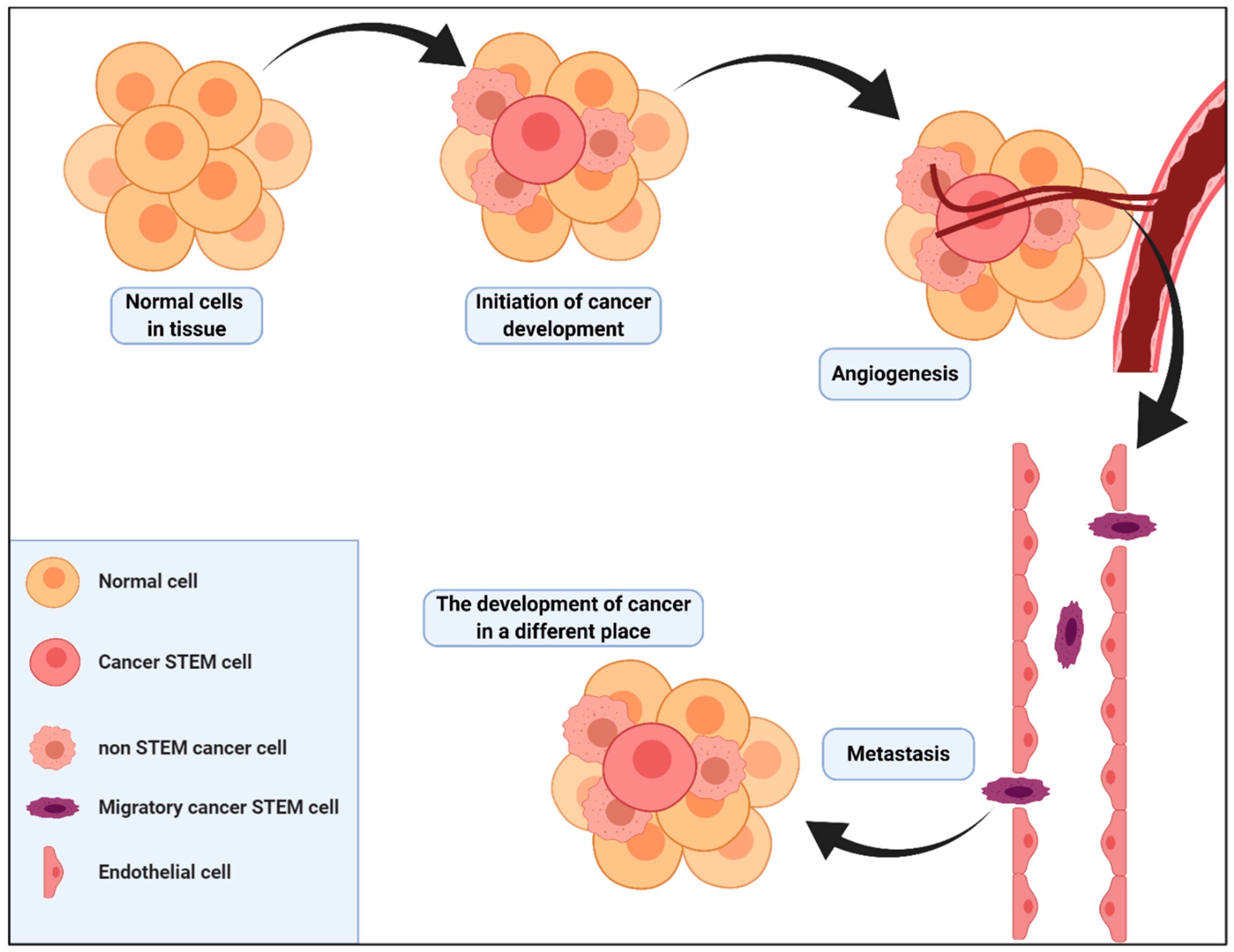 Ijms 22 02981 g003 Ijms 22 02981 g003