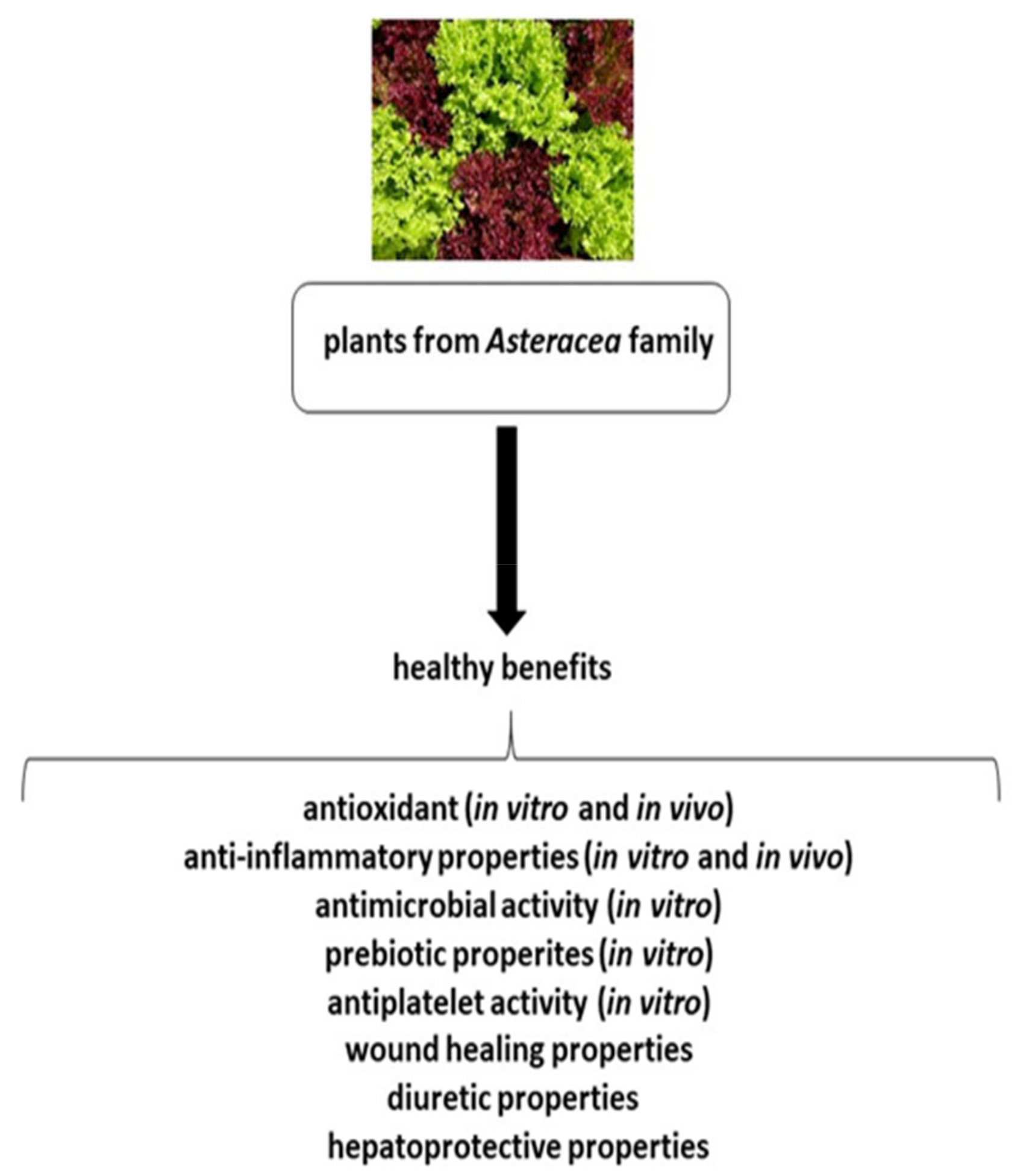 Ijms 22 03009 g001 Ijms 22 03009 g001