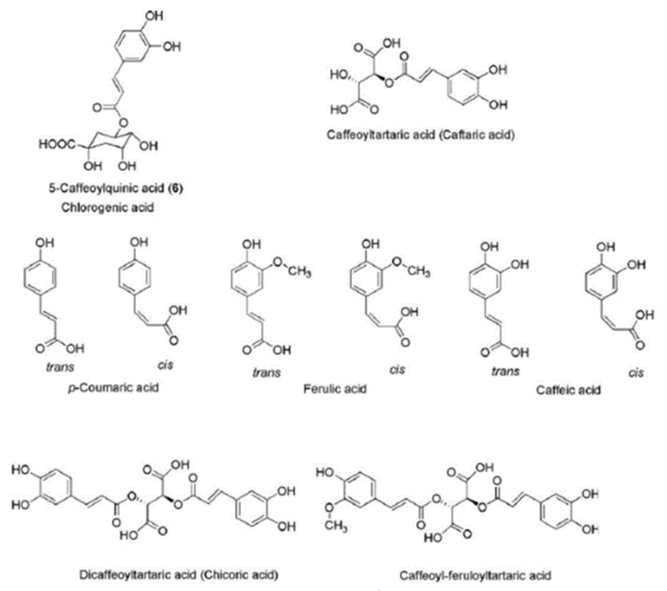 Ijms 22 03009 g003 Ijms 22 03009 g003