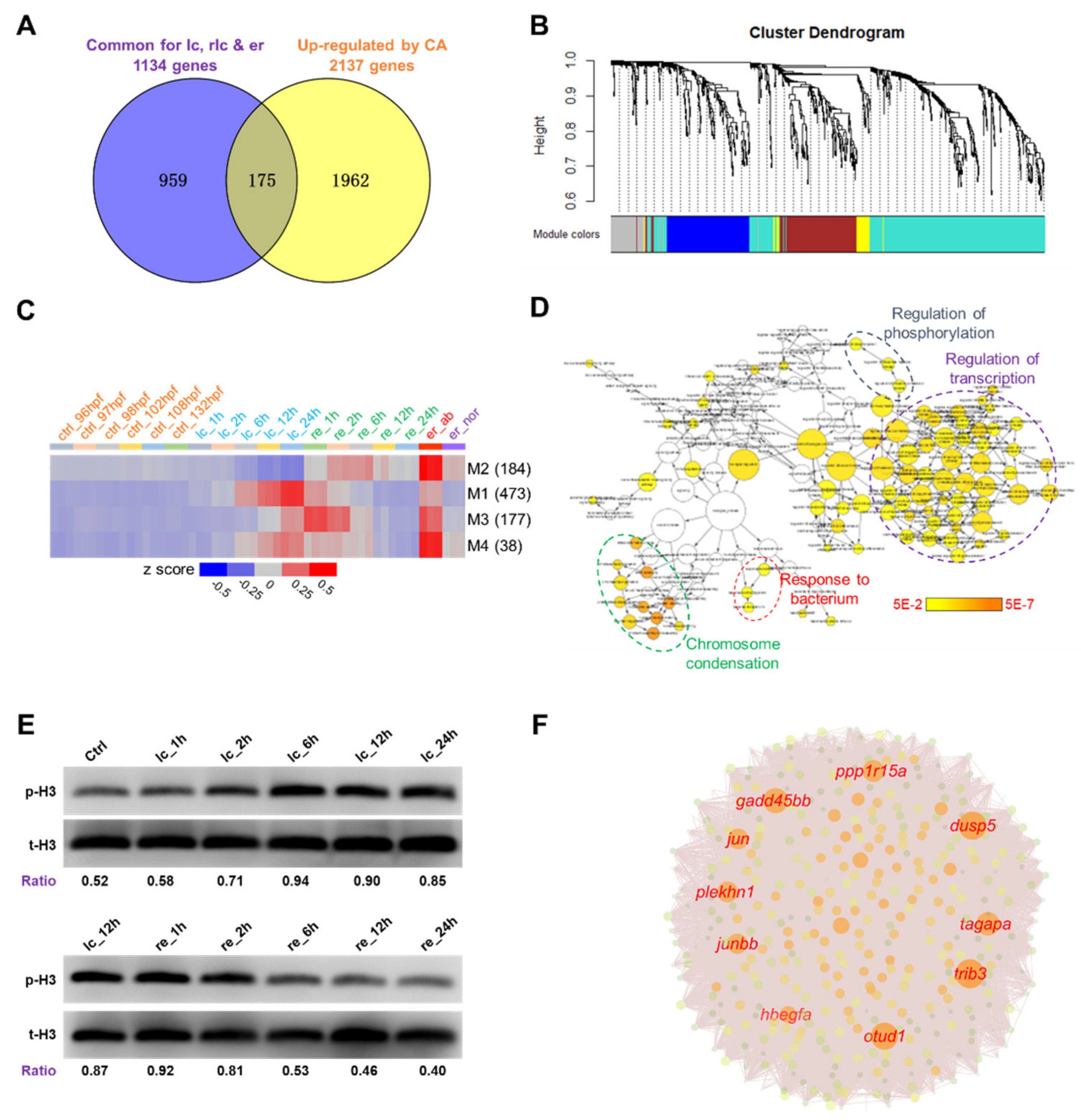Ijms 22 03028 g004 Ijms 22 03028 g004