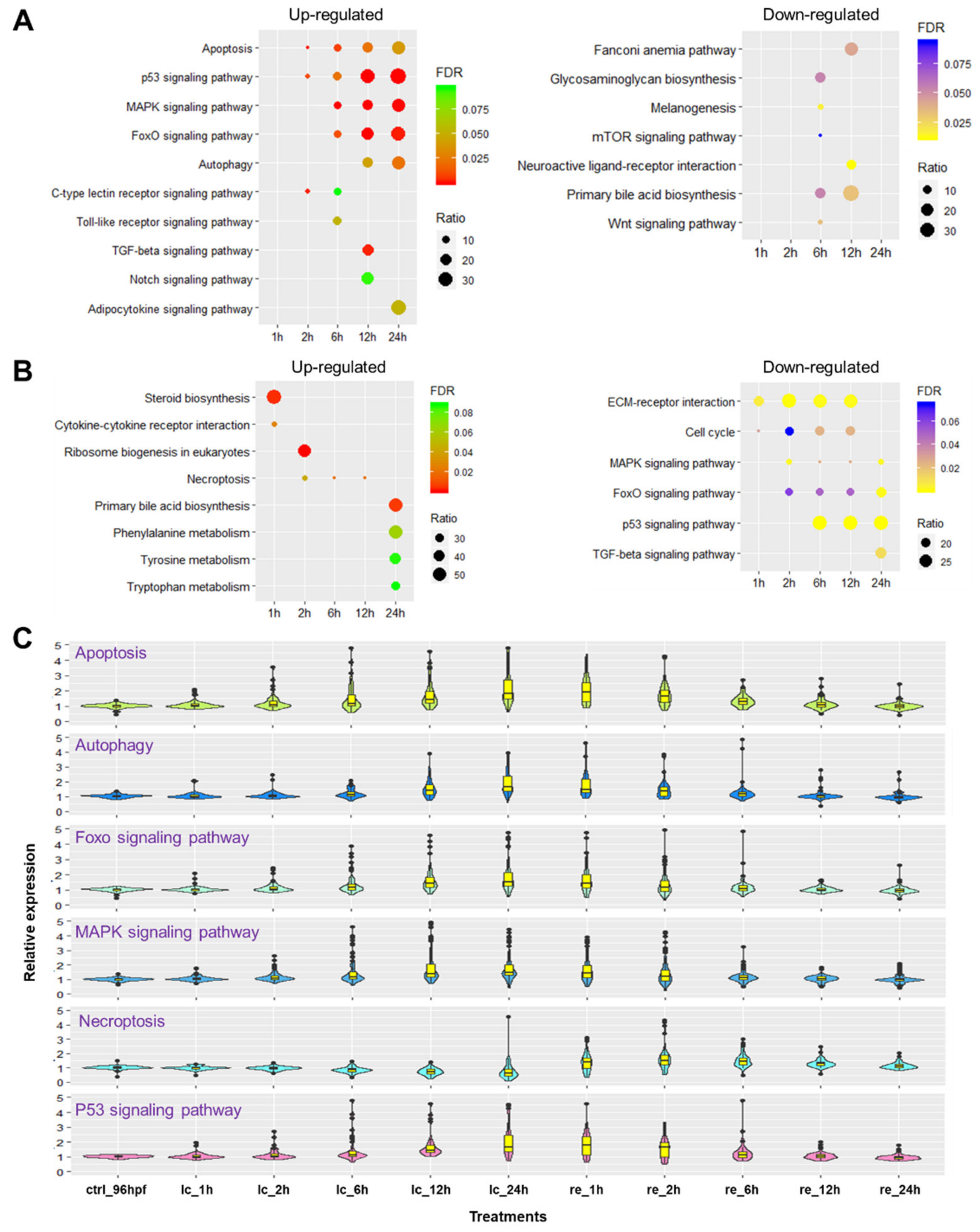 Ijms 22 03028 g005 Ijms 22 03028 g005