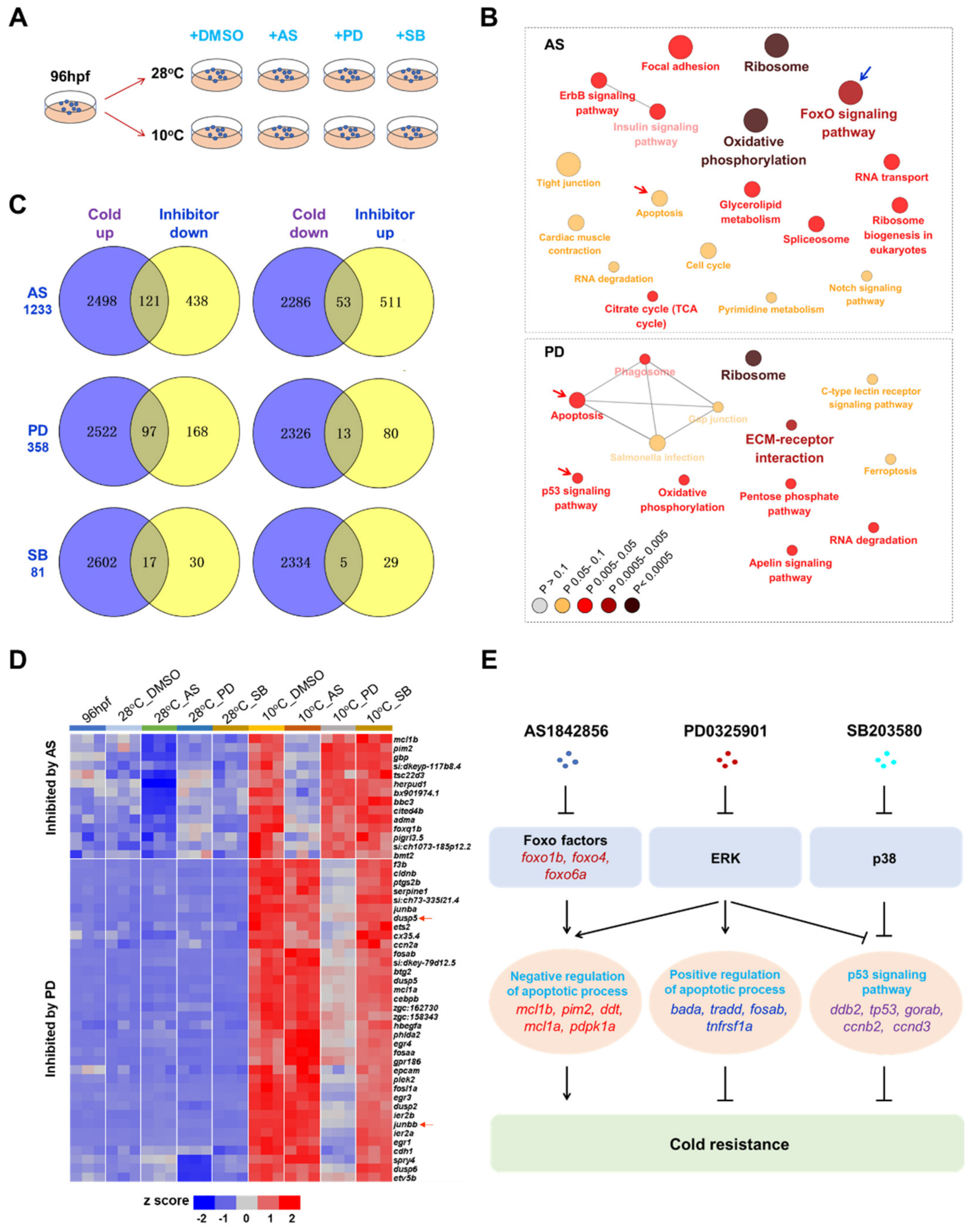 Ijms 22 03028 g008 Ijms 22 03028 g008