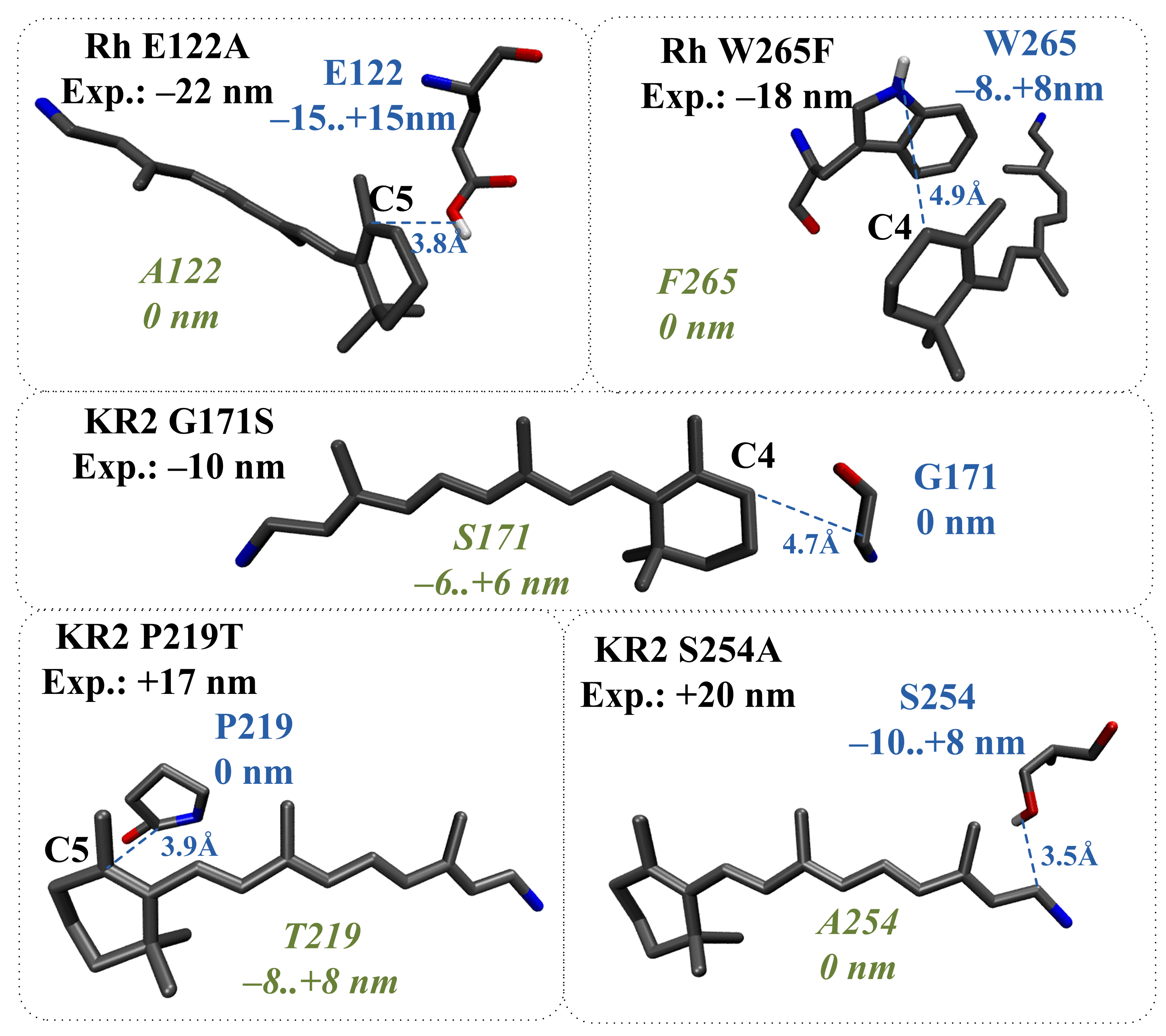 Ijms 22 03029 g009 Ijms 22 03029 g009