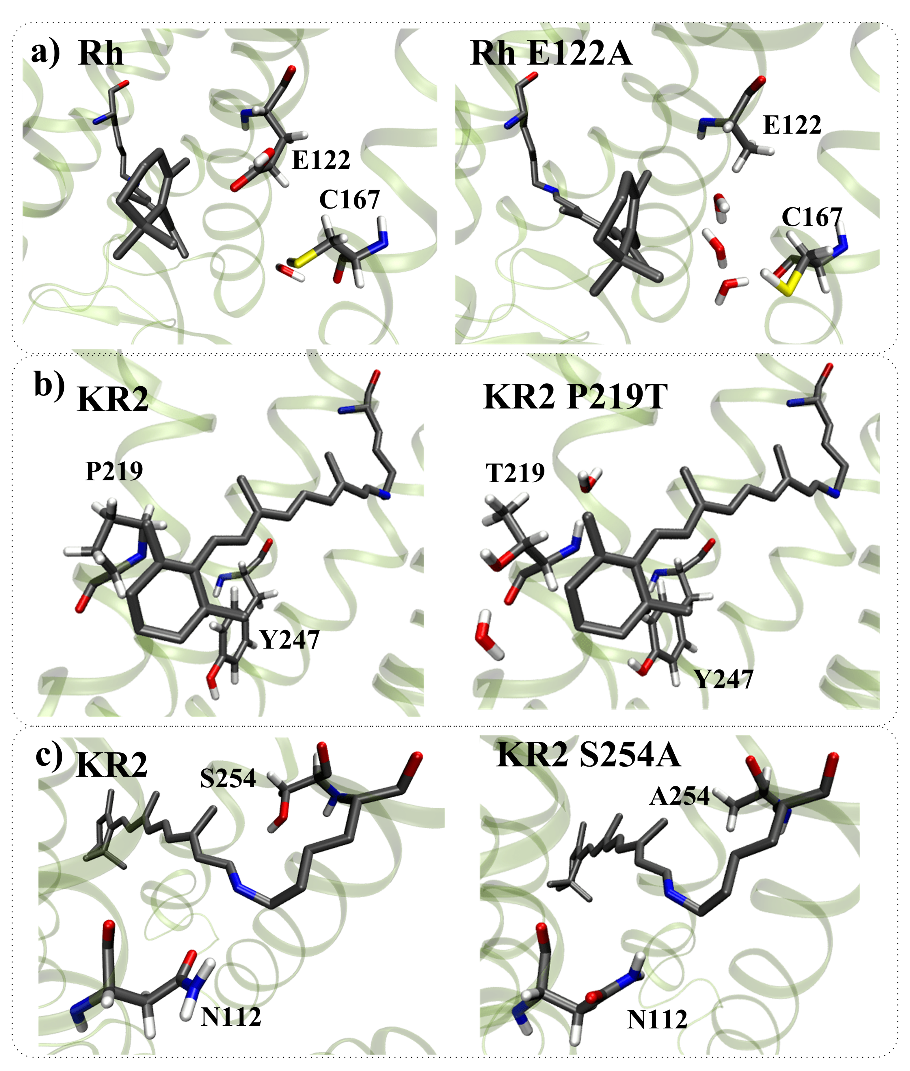 Ijms 22 03029 g010 Ijms 22 03029 g010