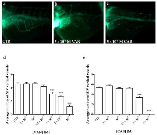 IJMS | Free Full-Text | Vandetanib Versus Cabozantinib In Medullary ...