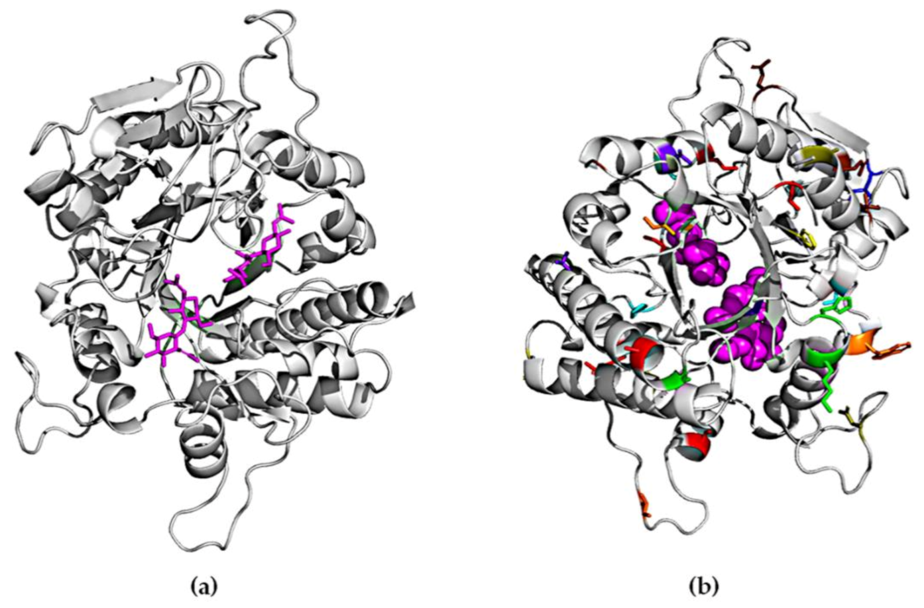 Ijms 22 03041 g006 Ijms 22 03041 g006