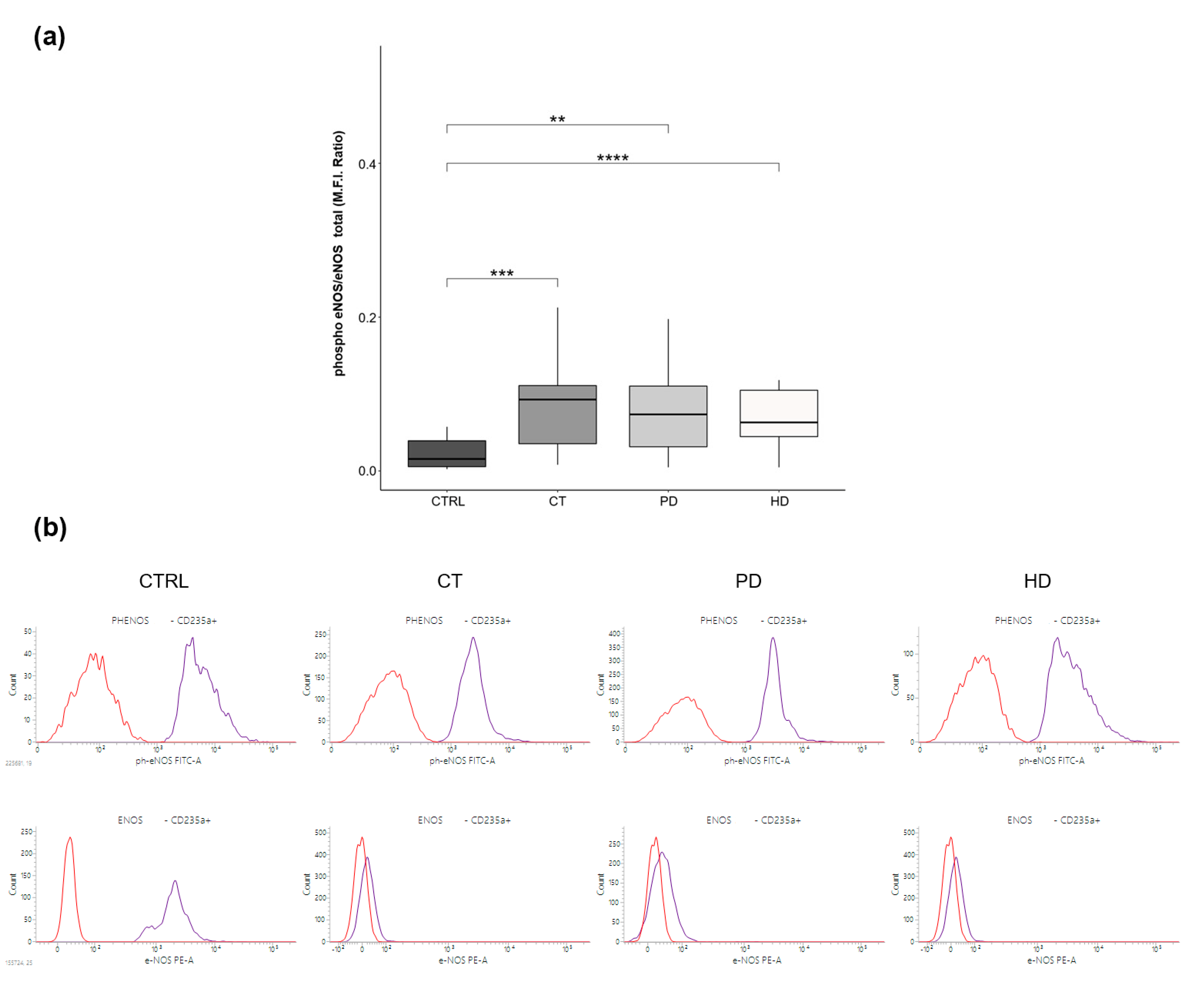 Ijms 22 03049 g001 Ijms 22 03049 g001