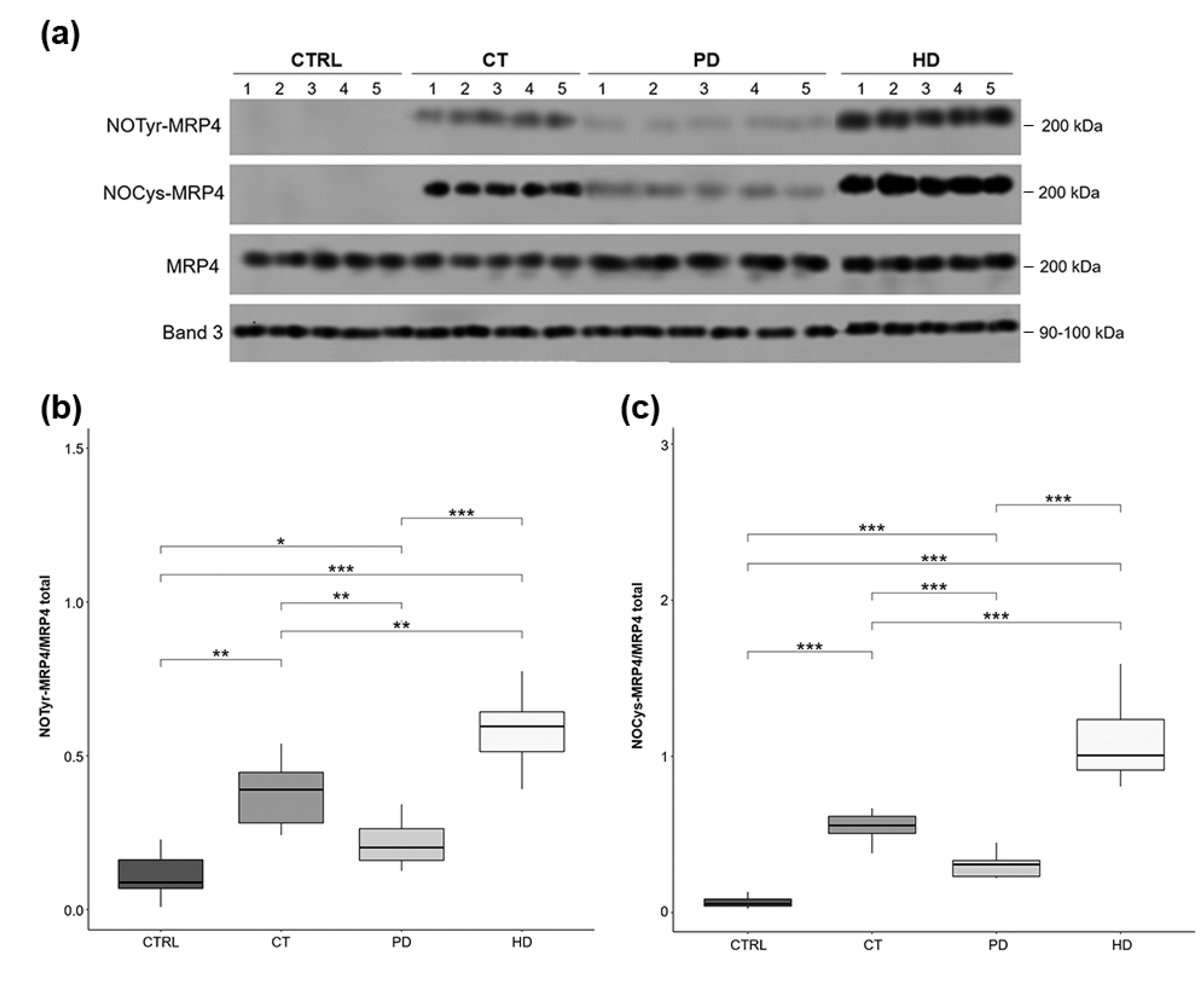 Ijms 22 03049 g003 Ijms 22 03049 g003