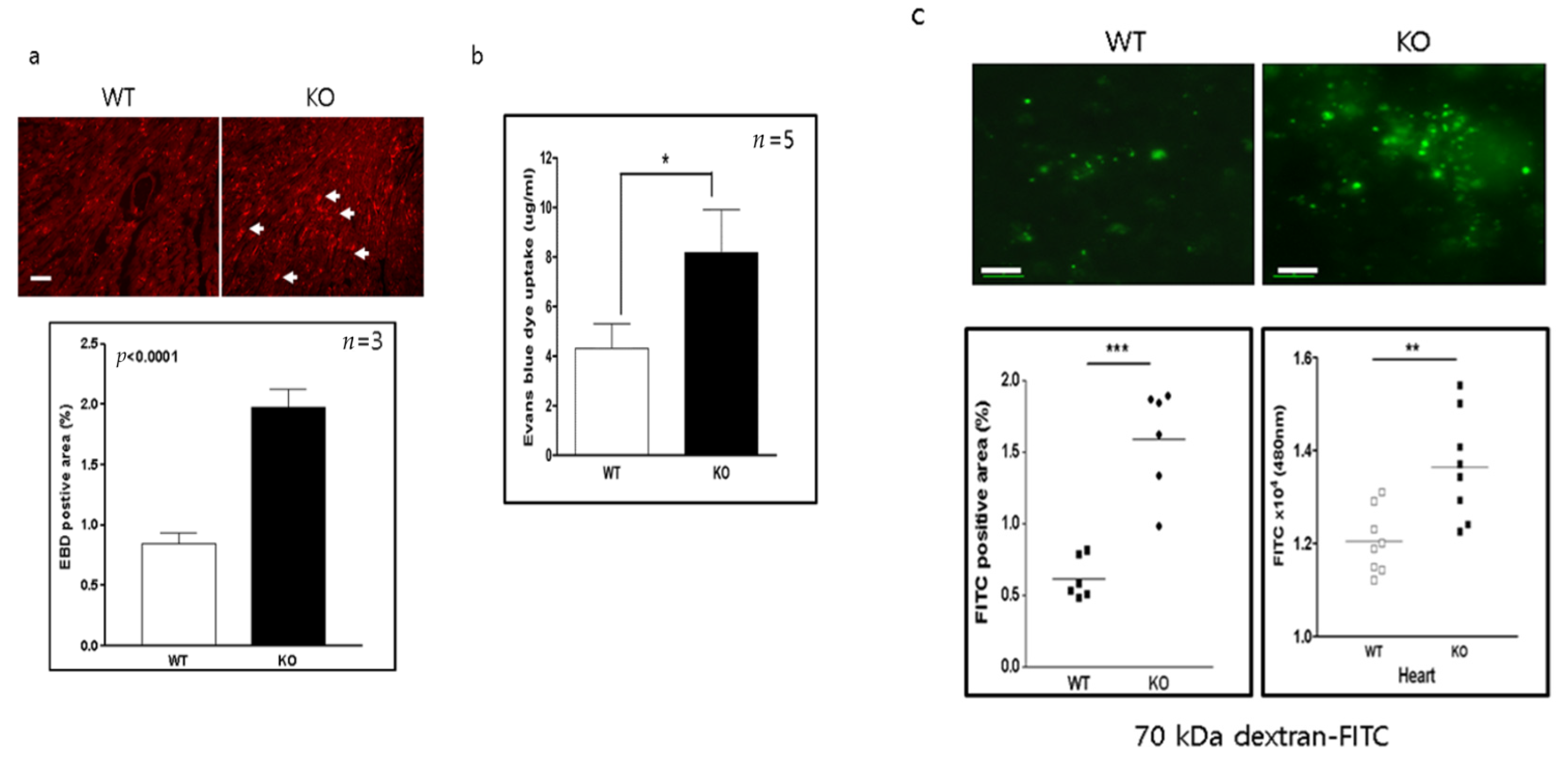 Ijms 22 03053 g003 Ijms 22 03053 g003