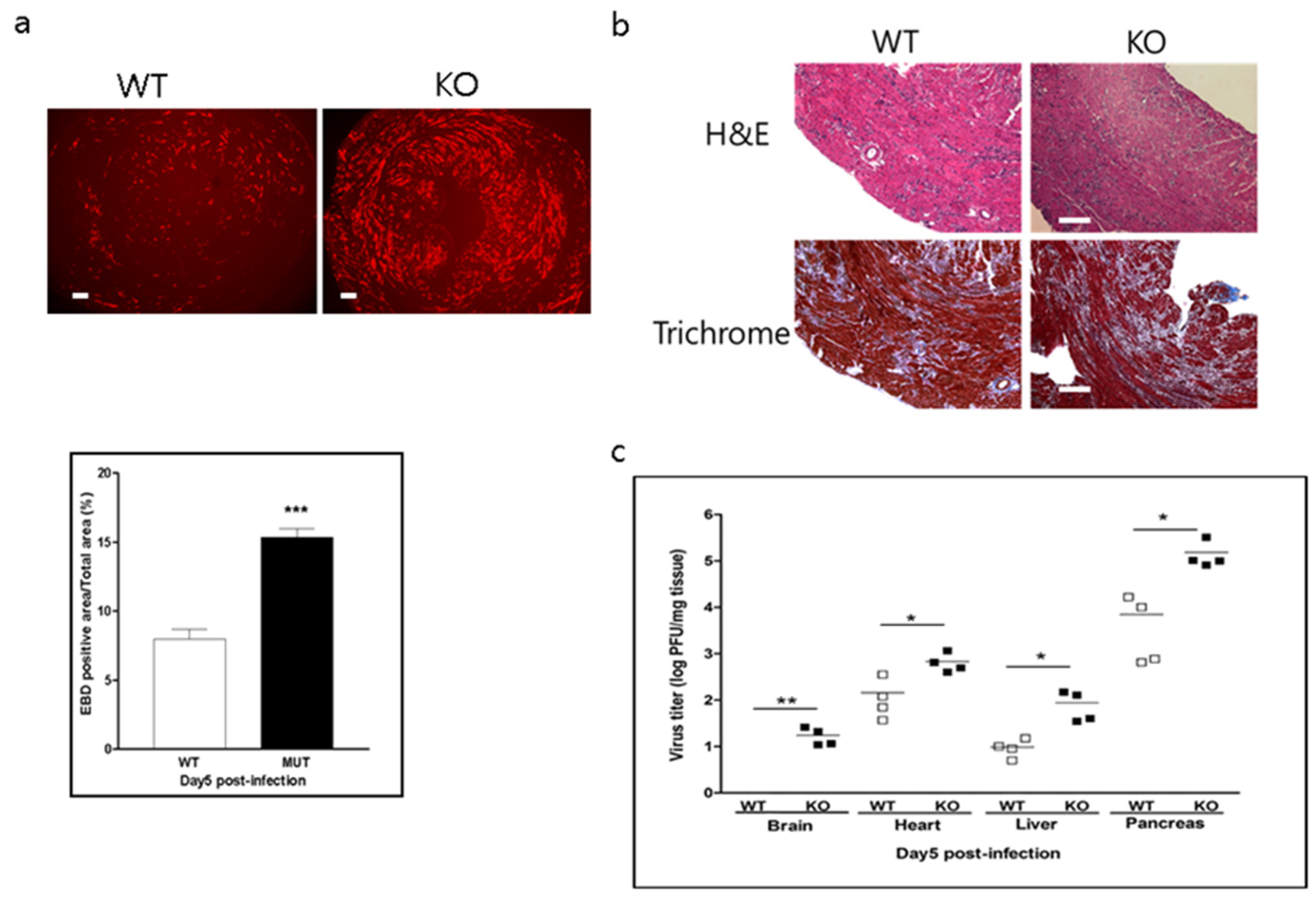 Ijms 22 03053 g005 Ijms 22 03053 g005
