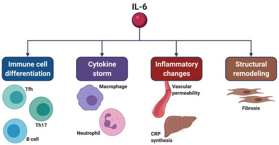 IJMS | Free Full-Text | Therapeutic Role of Tocilizumab in SARS-CoV-2 ...