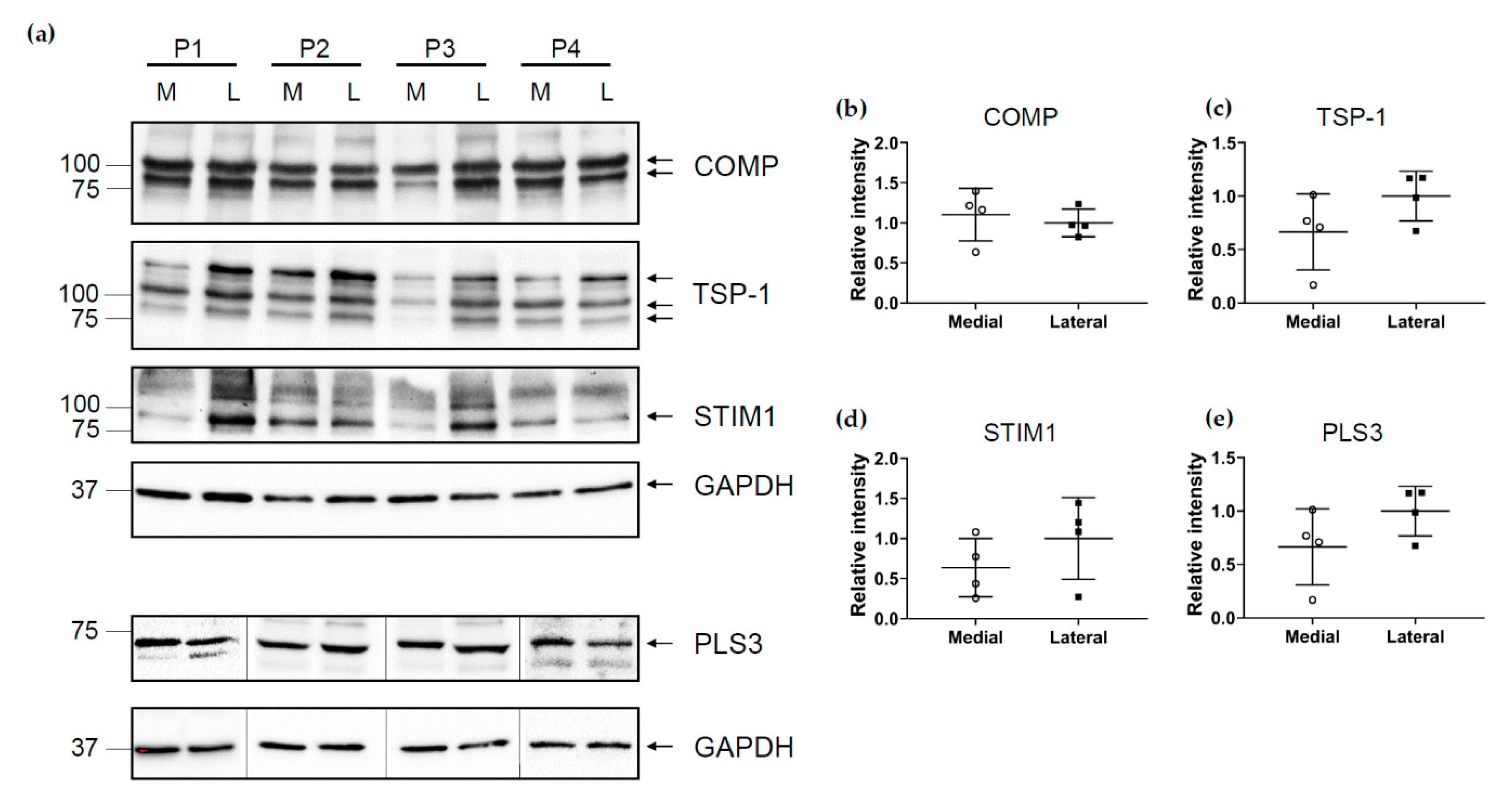 Ijms 22 03073 g007 Ijms 22 03073 g007