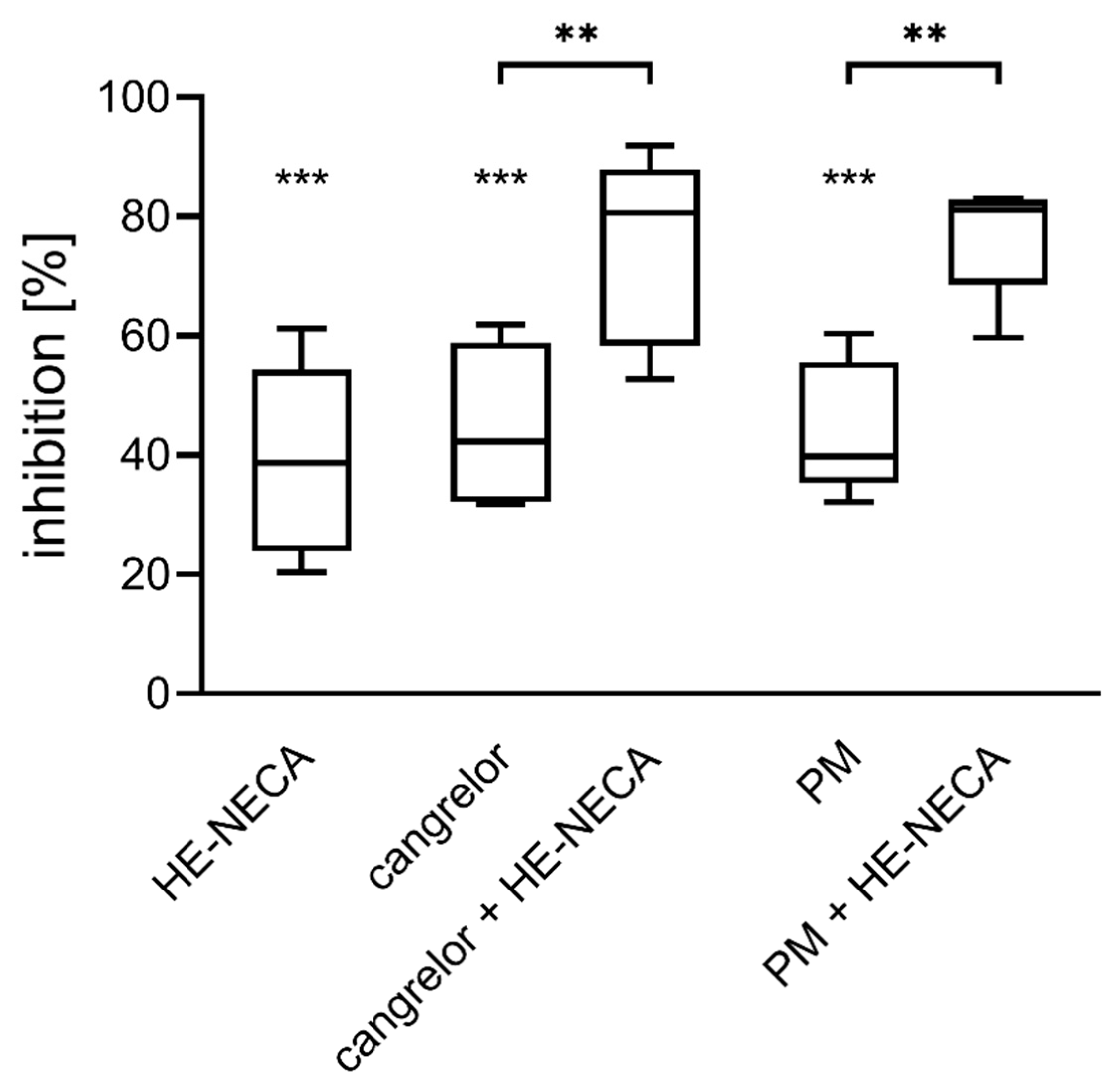 Ijms 22 03074 g001 Ijms 22 03074 g001