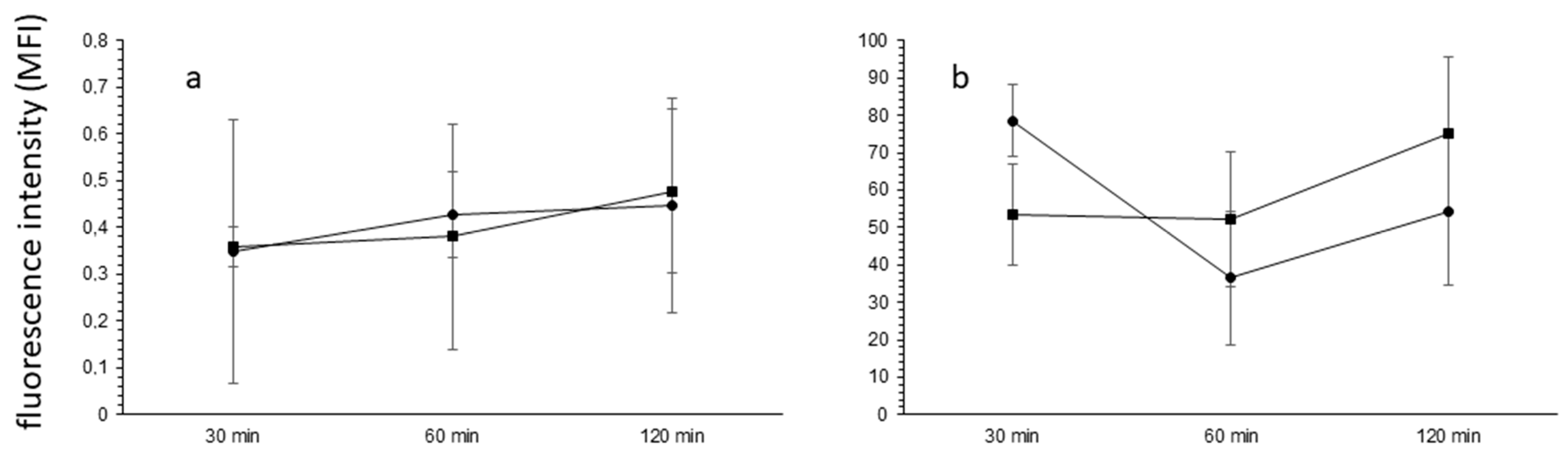Ijms 22 03074 g005 Ijms 22 03074 g005